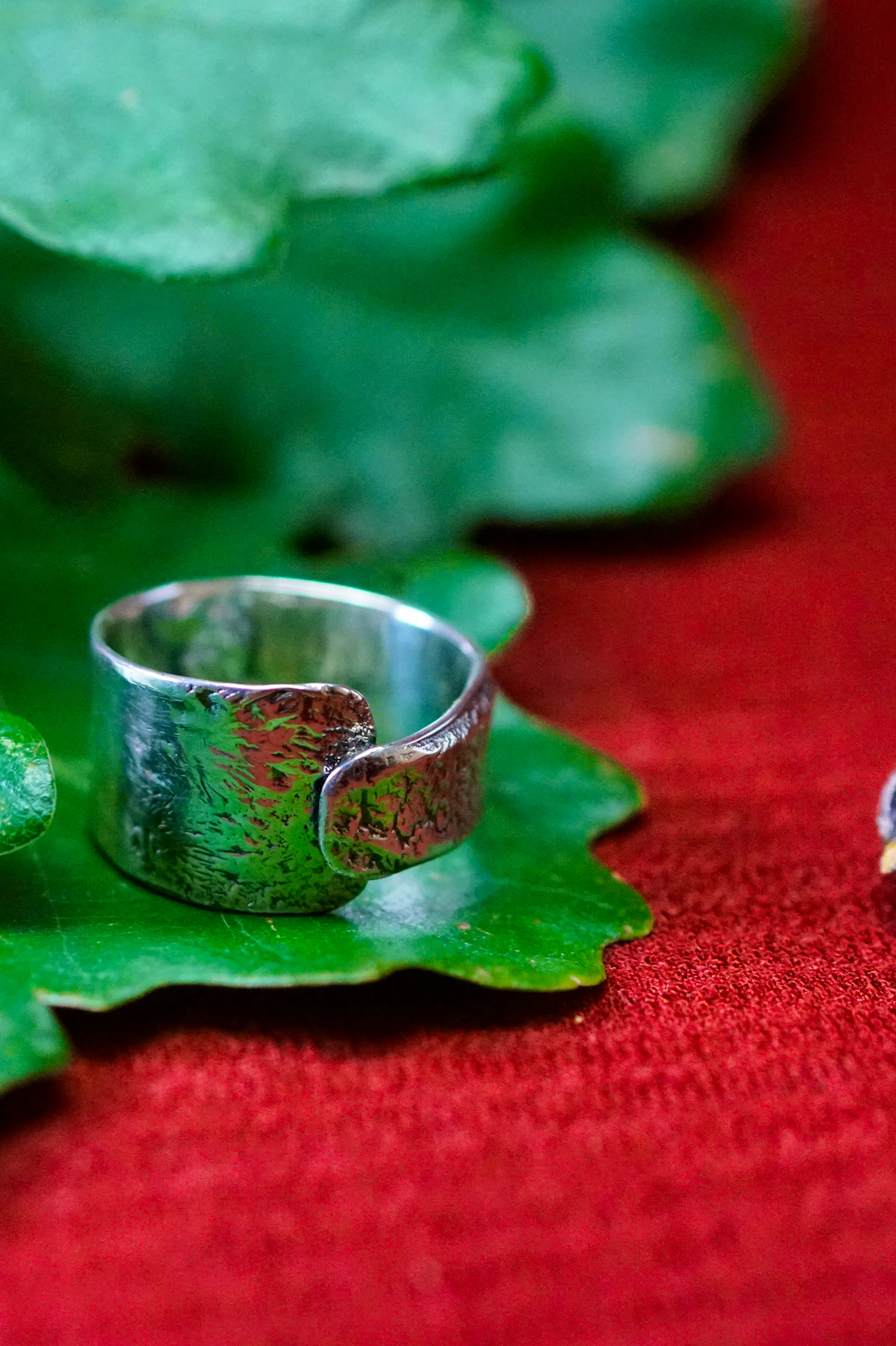 Bague cuivre plaqué argent posé sur des feuilles de chênes