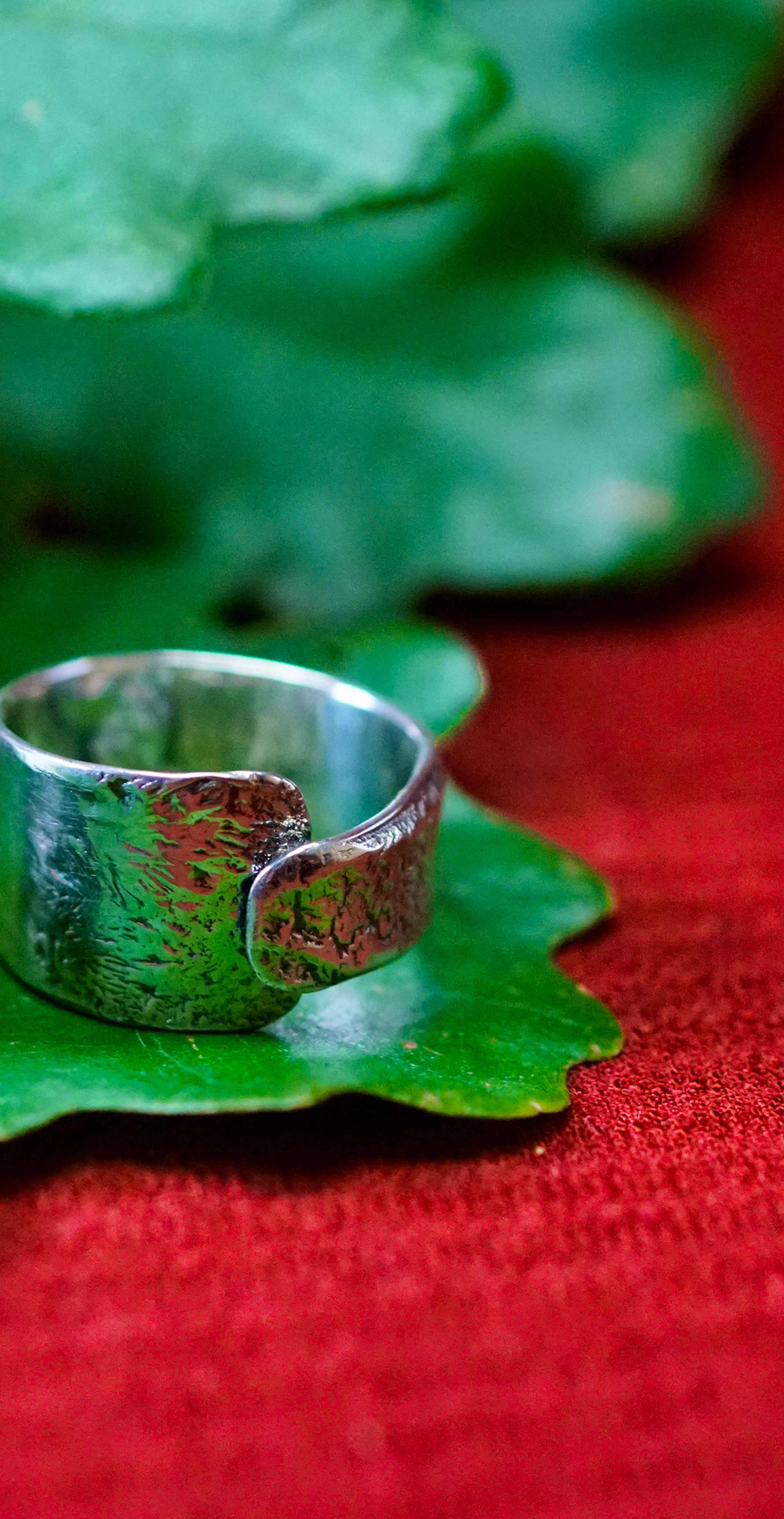 Bague cuivre plaqué argent posé sur des feuilles de chênes