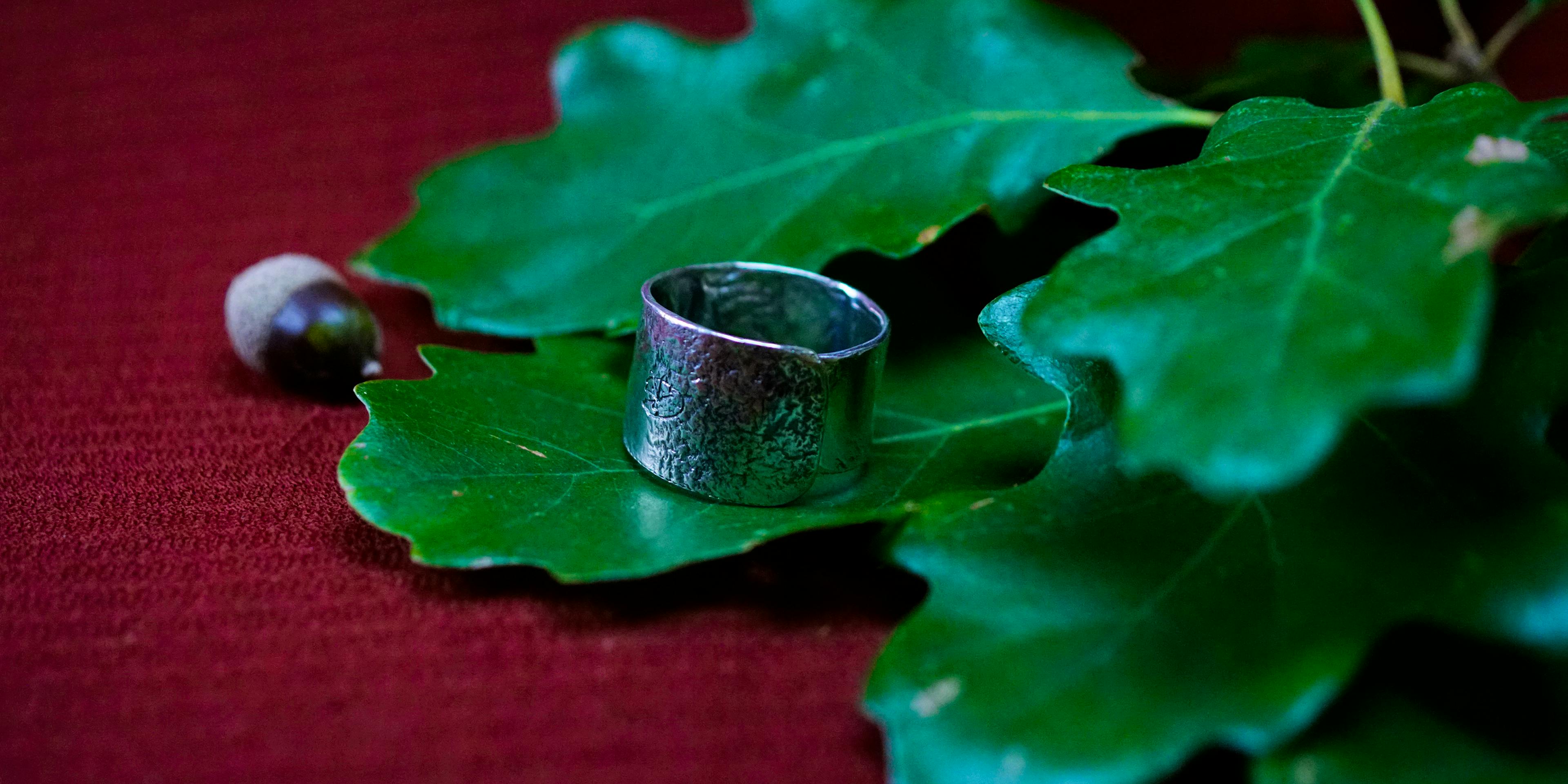 Bague cuivre plaqué argent posé sur des feuilles de chênes