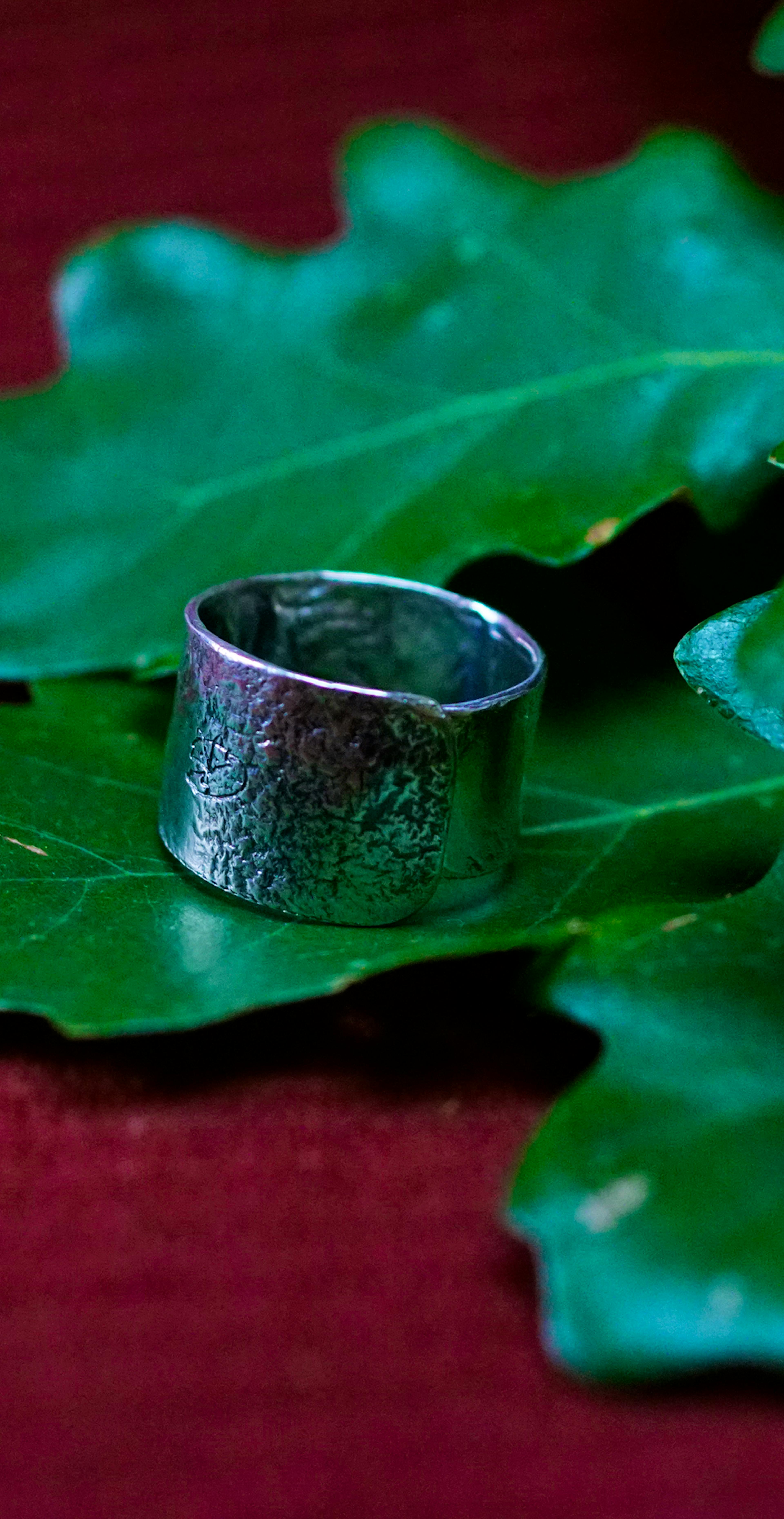 Bague cuivre plaqué argent posé sur des feuilles de chênes