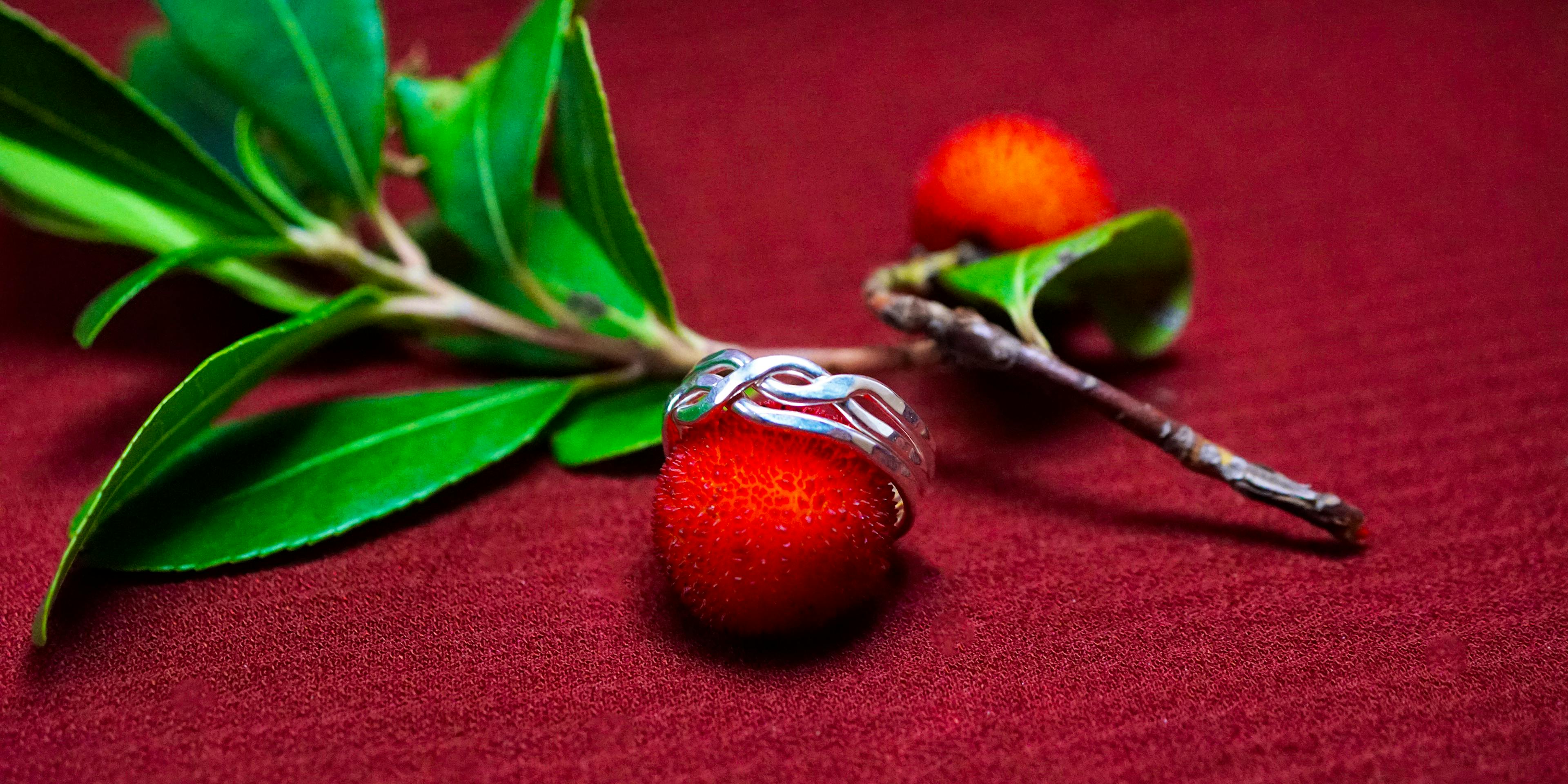 Bague Casse-tête 3 anneaux posé sur une arbouse