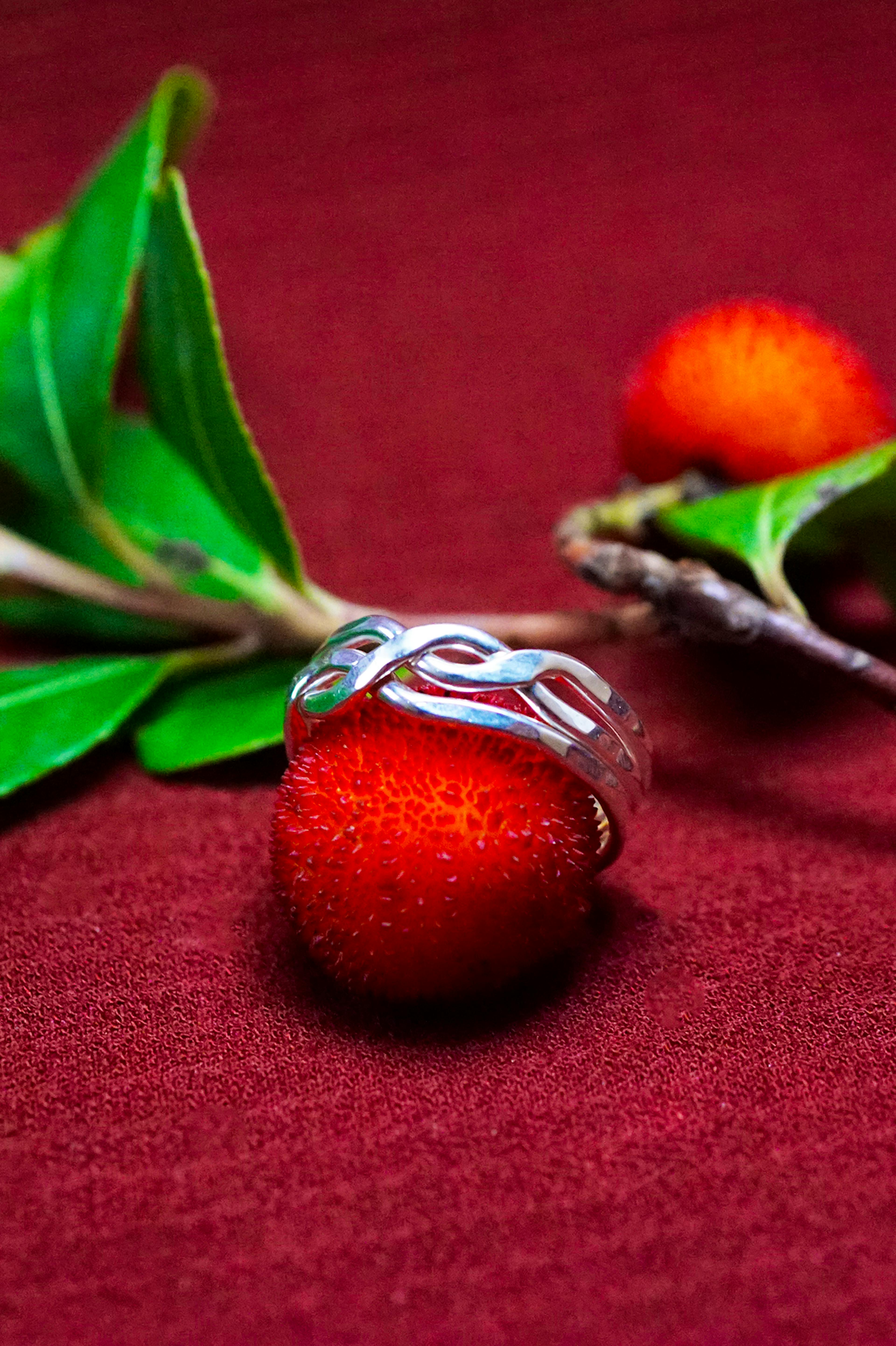 Bague Casse-tête 3 anneaux posé sur une arbouse