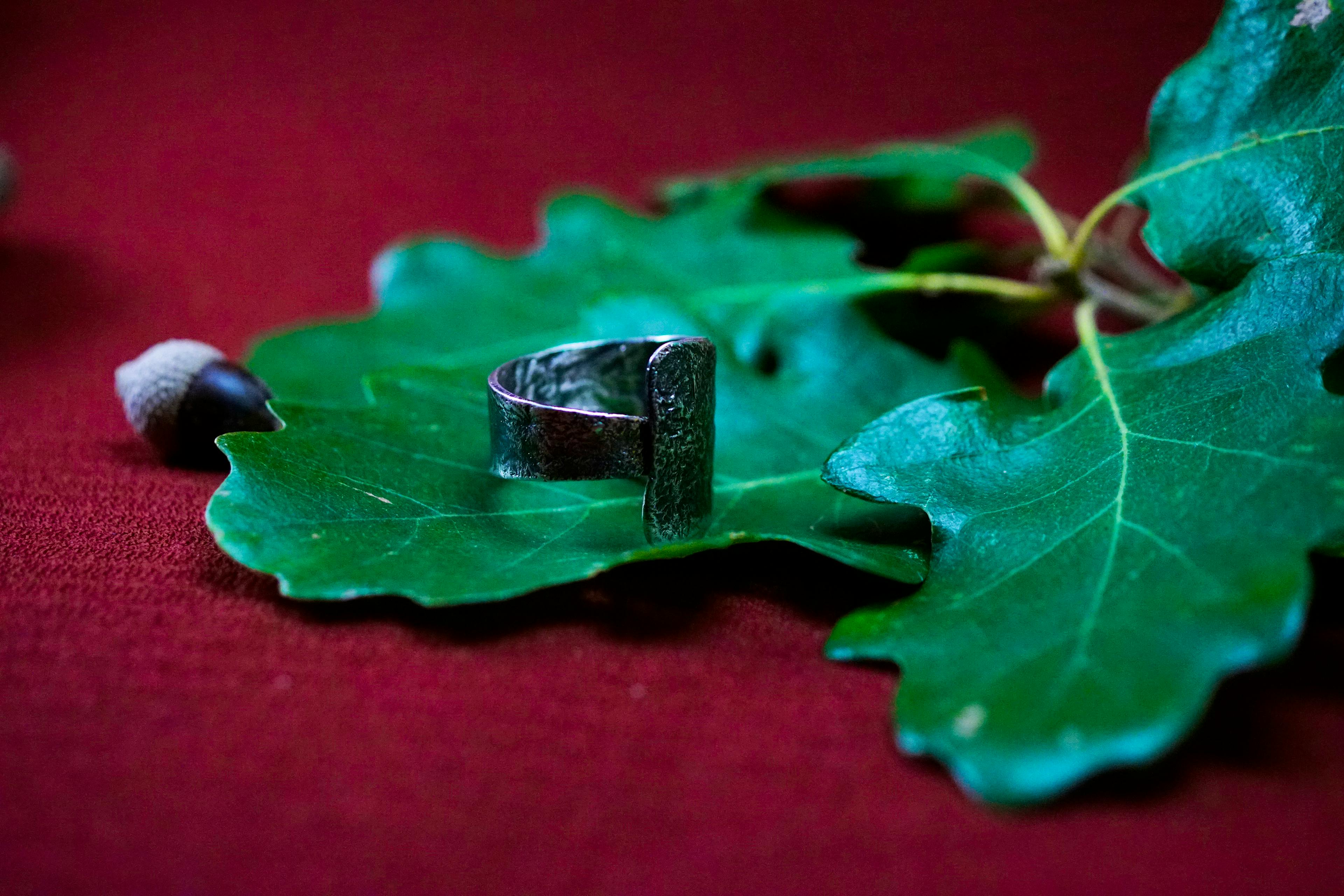 Bague cuivre plaqué argent posé sur des feuilles de chênes