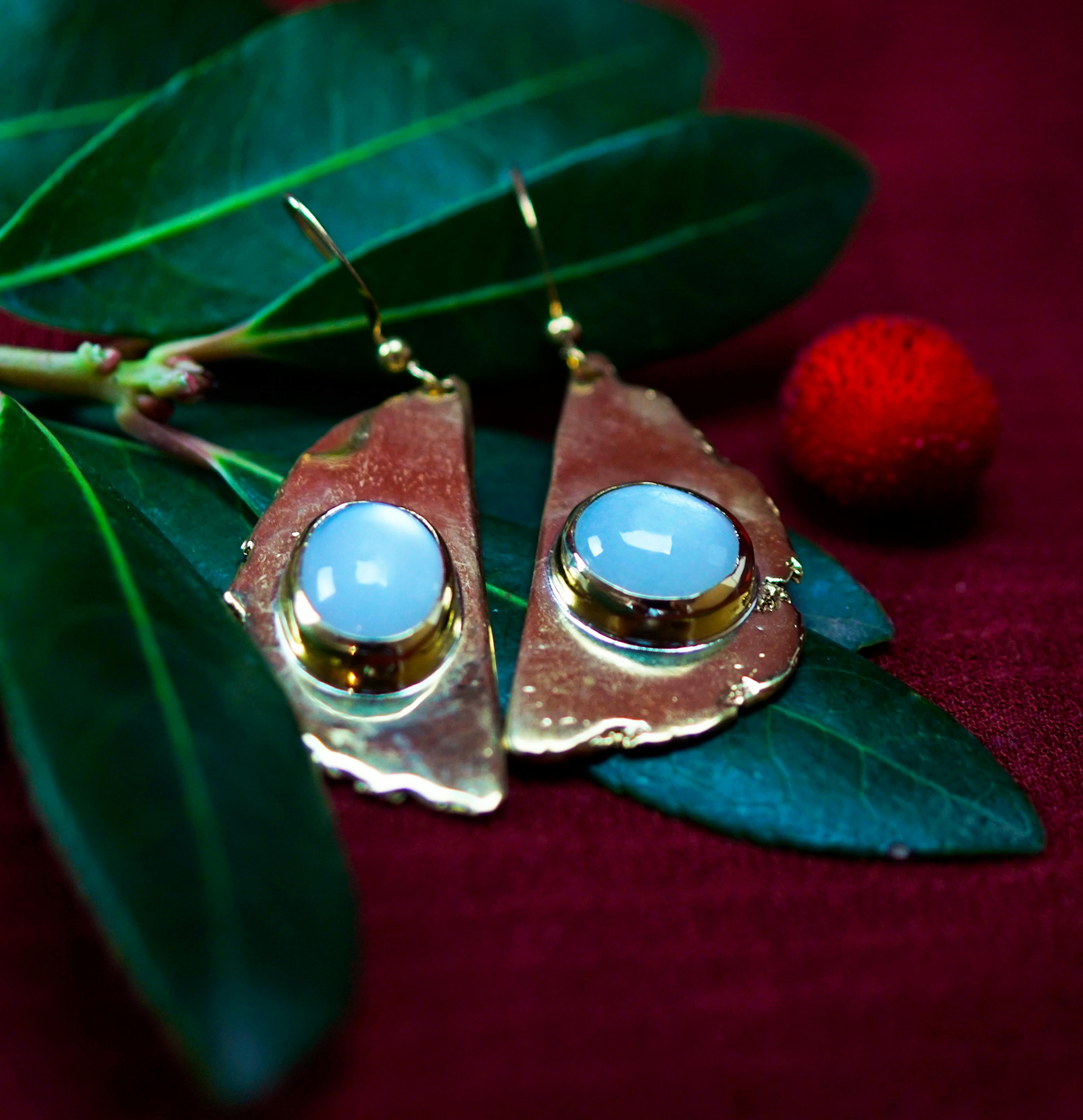 boucles d'oreilles exposées sur une branche d'arbousié