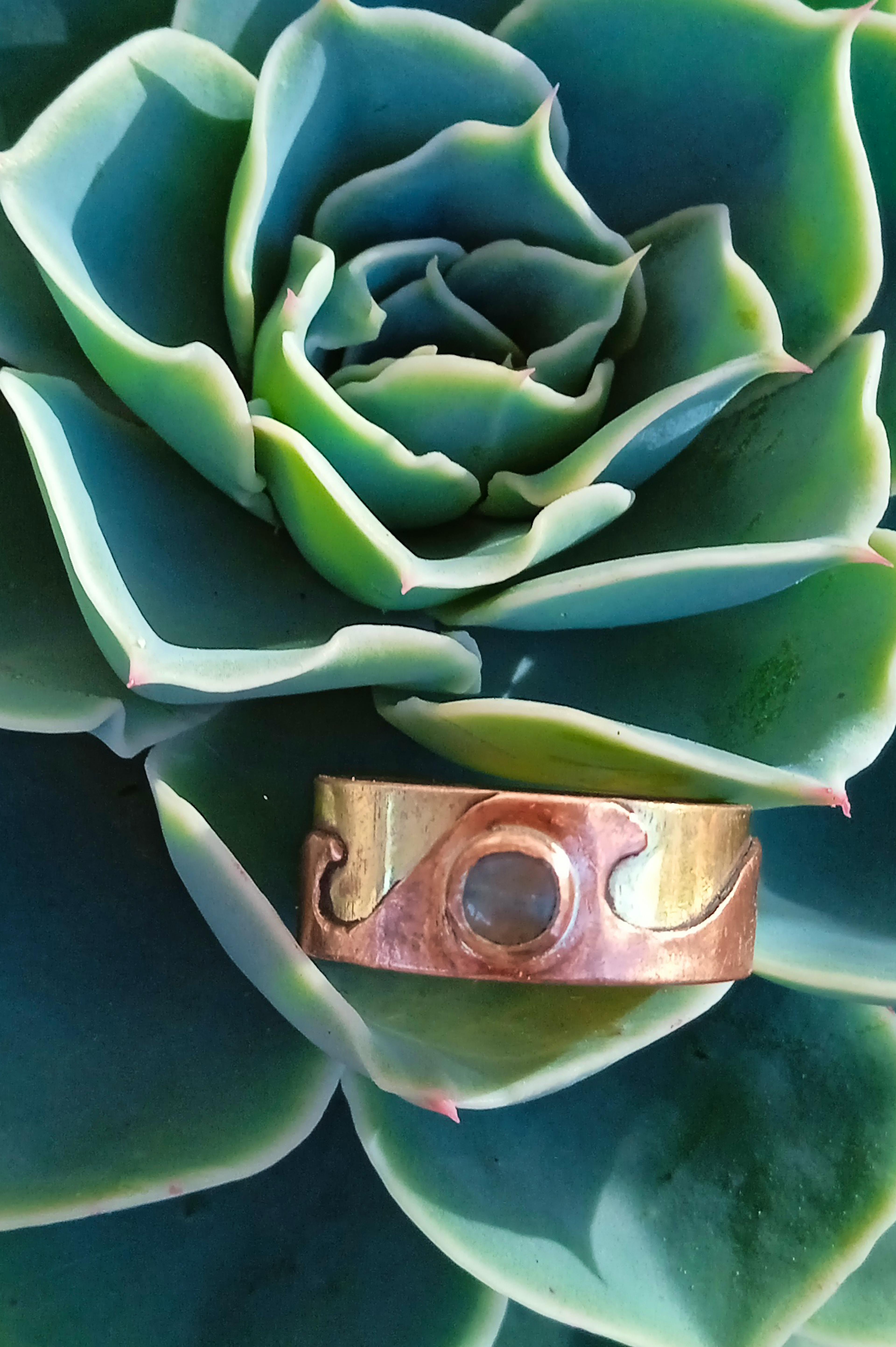 Bague laiton cuivre posée sur une plante grasse