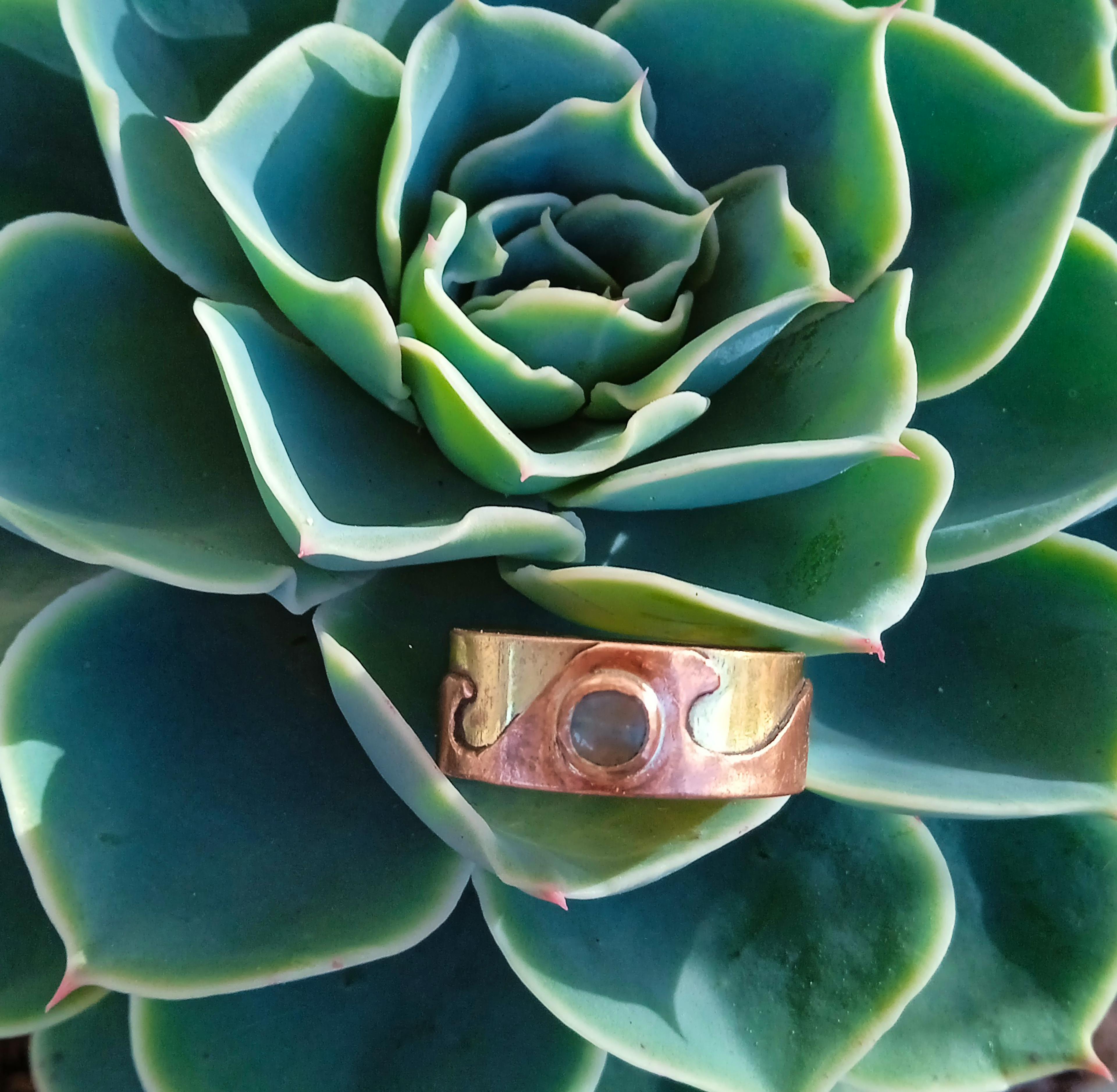Bague laiton cuivre posée sur une plante grasse