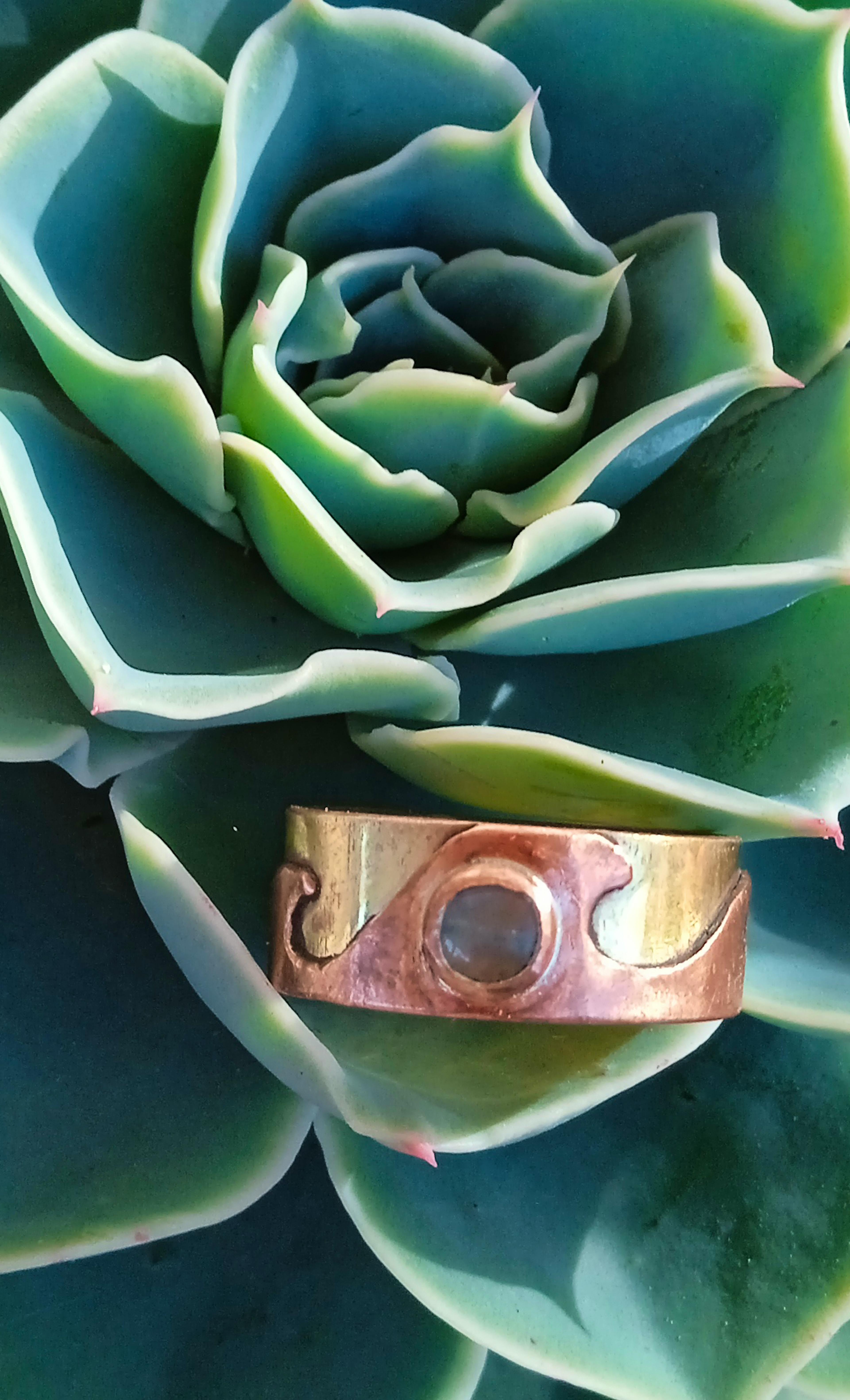Bague laiton cuivre posée sur une plante grasse
