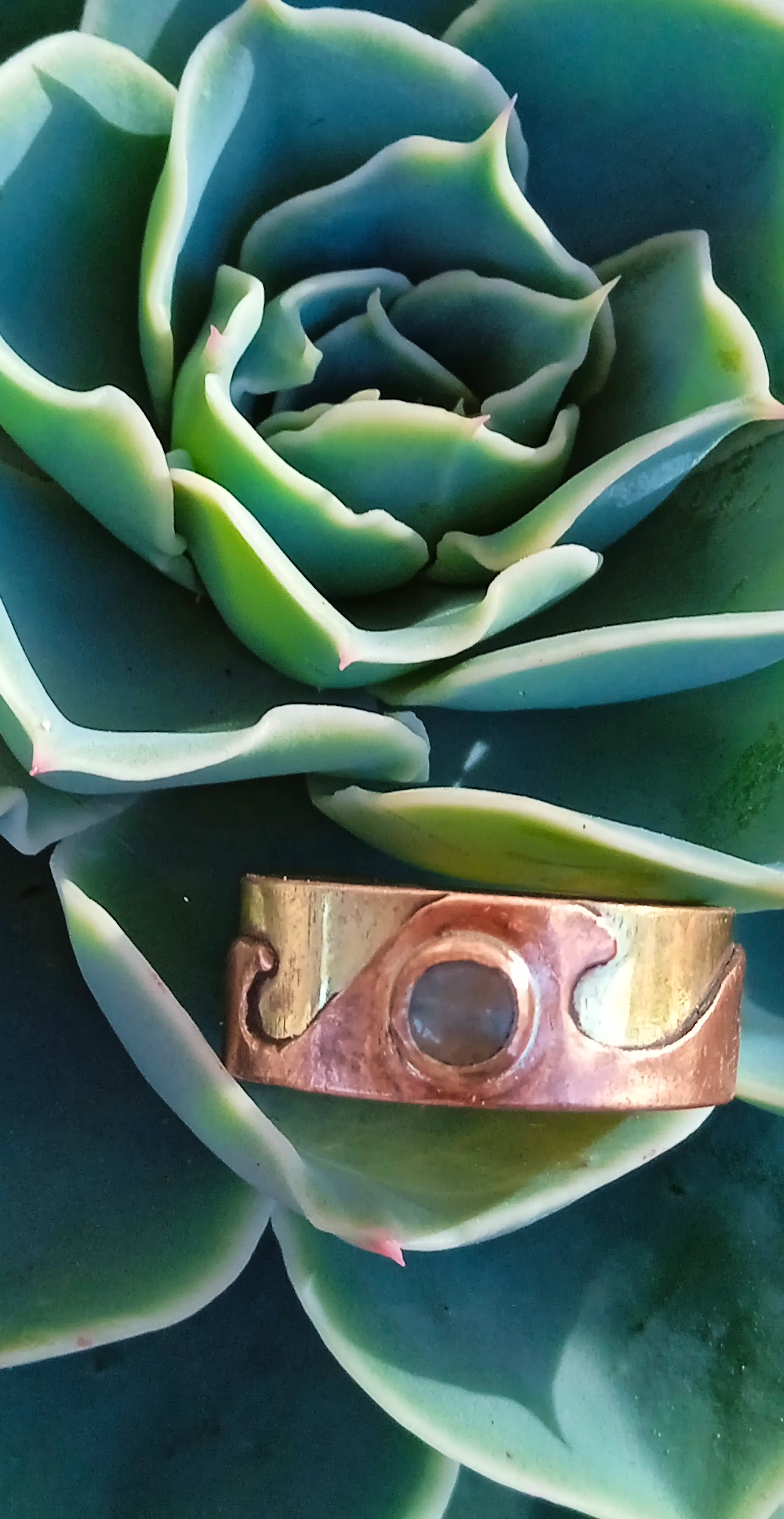 Bague laiton cuivre posée sur une plante grasse