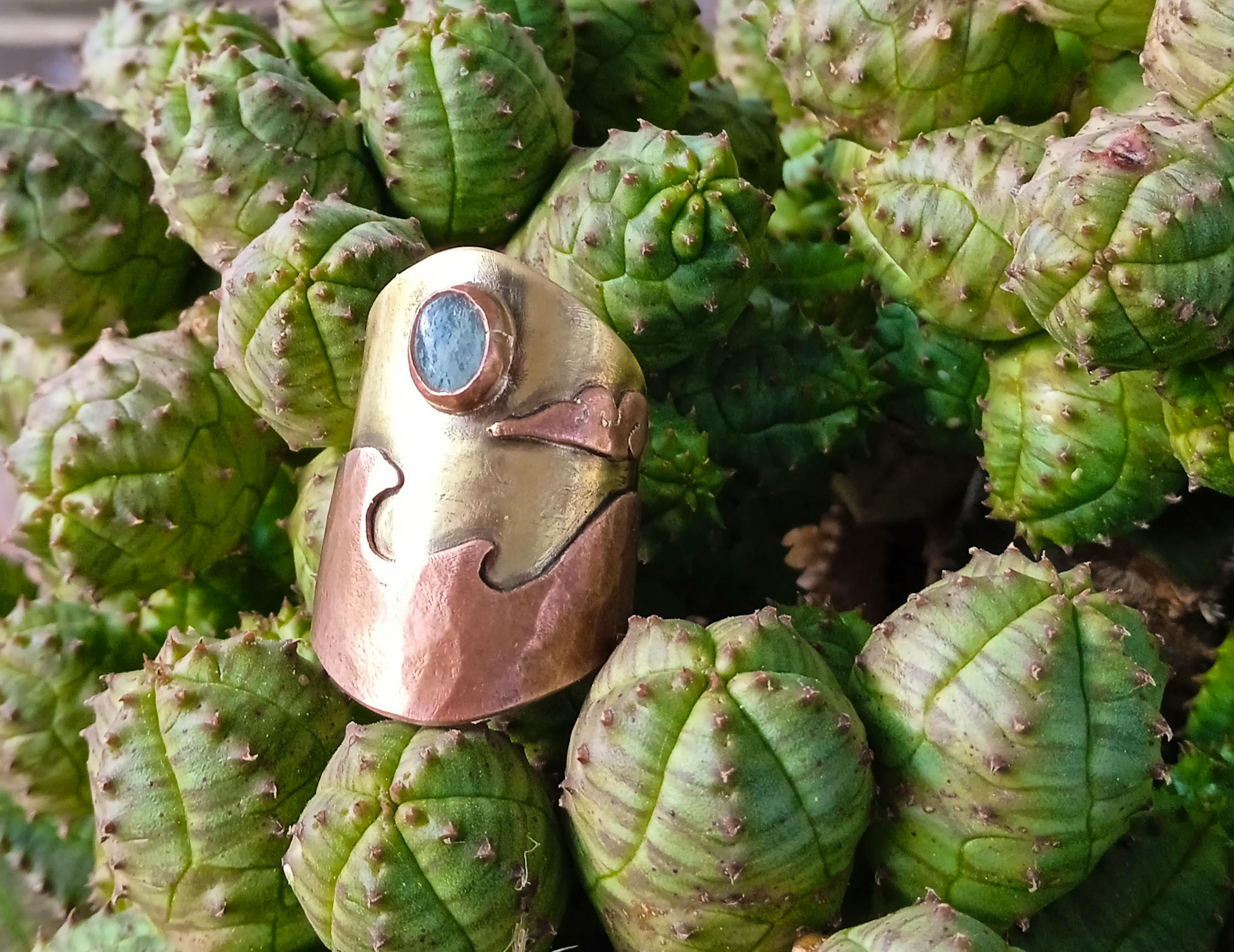 bague ocean posée sur cactus