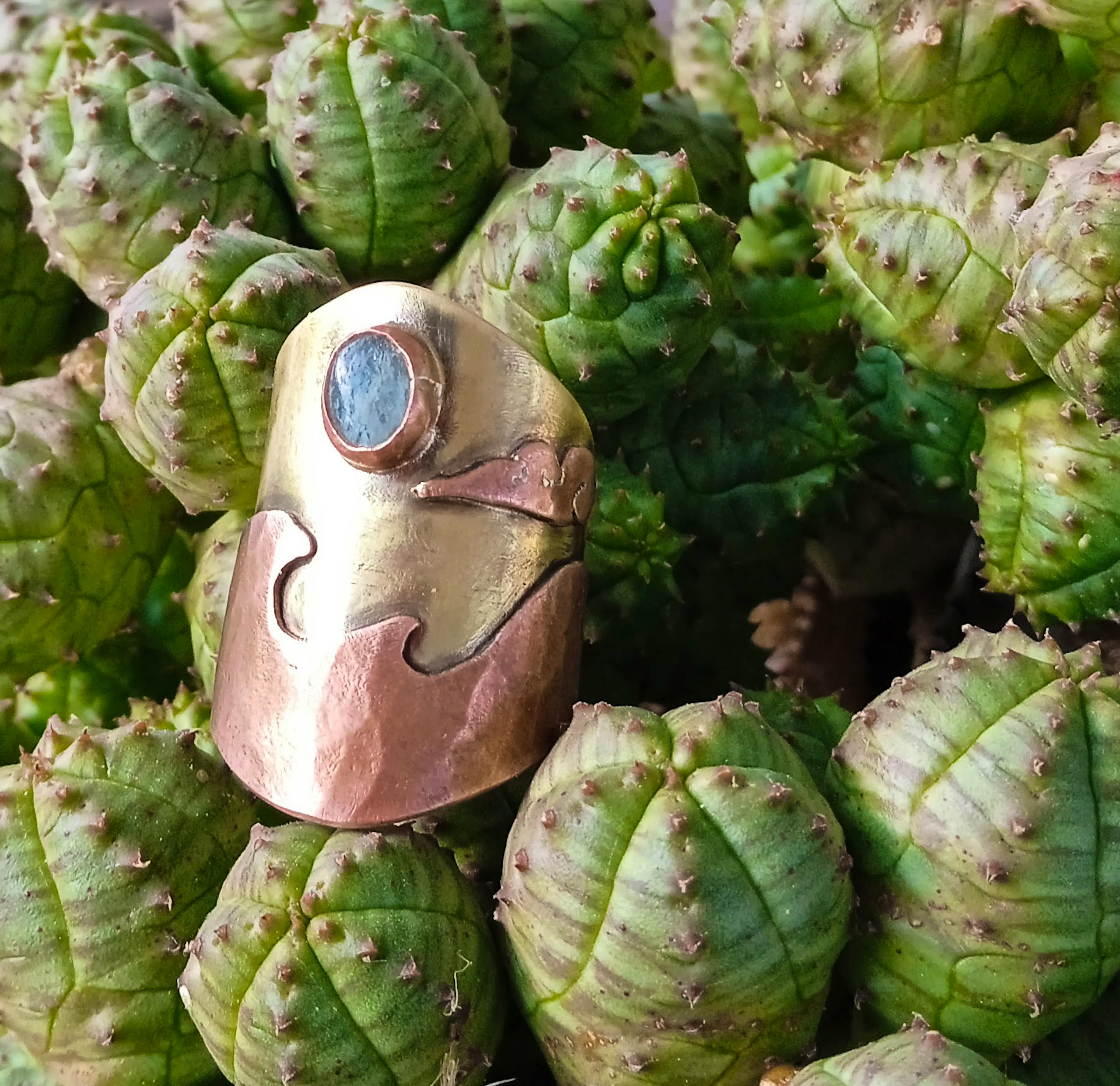bague ocean posée sur cactus