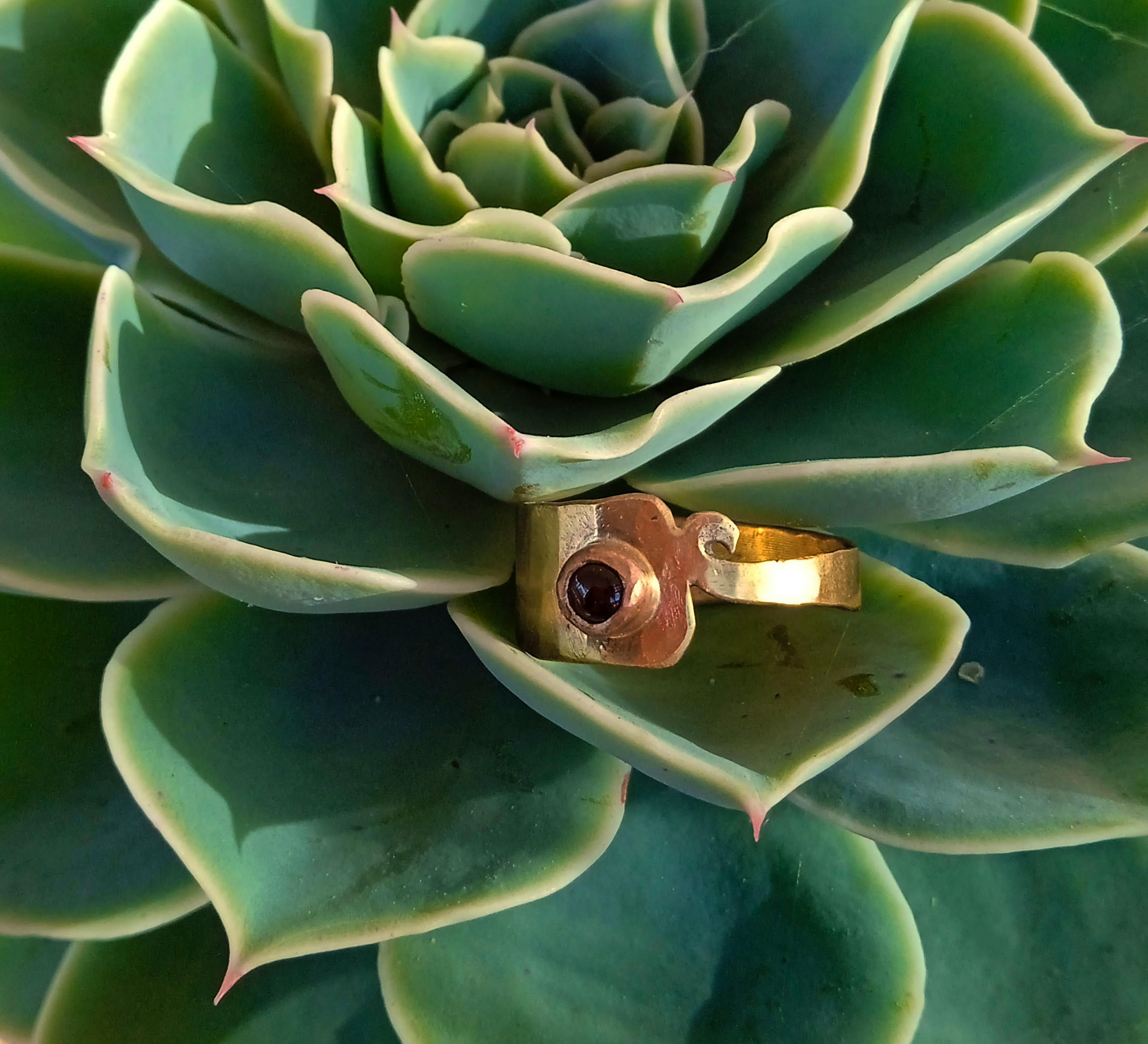 bague laiton posé sur une plante grasse