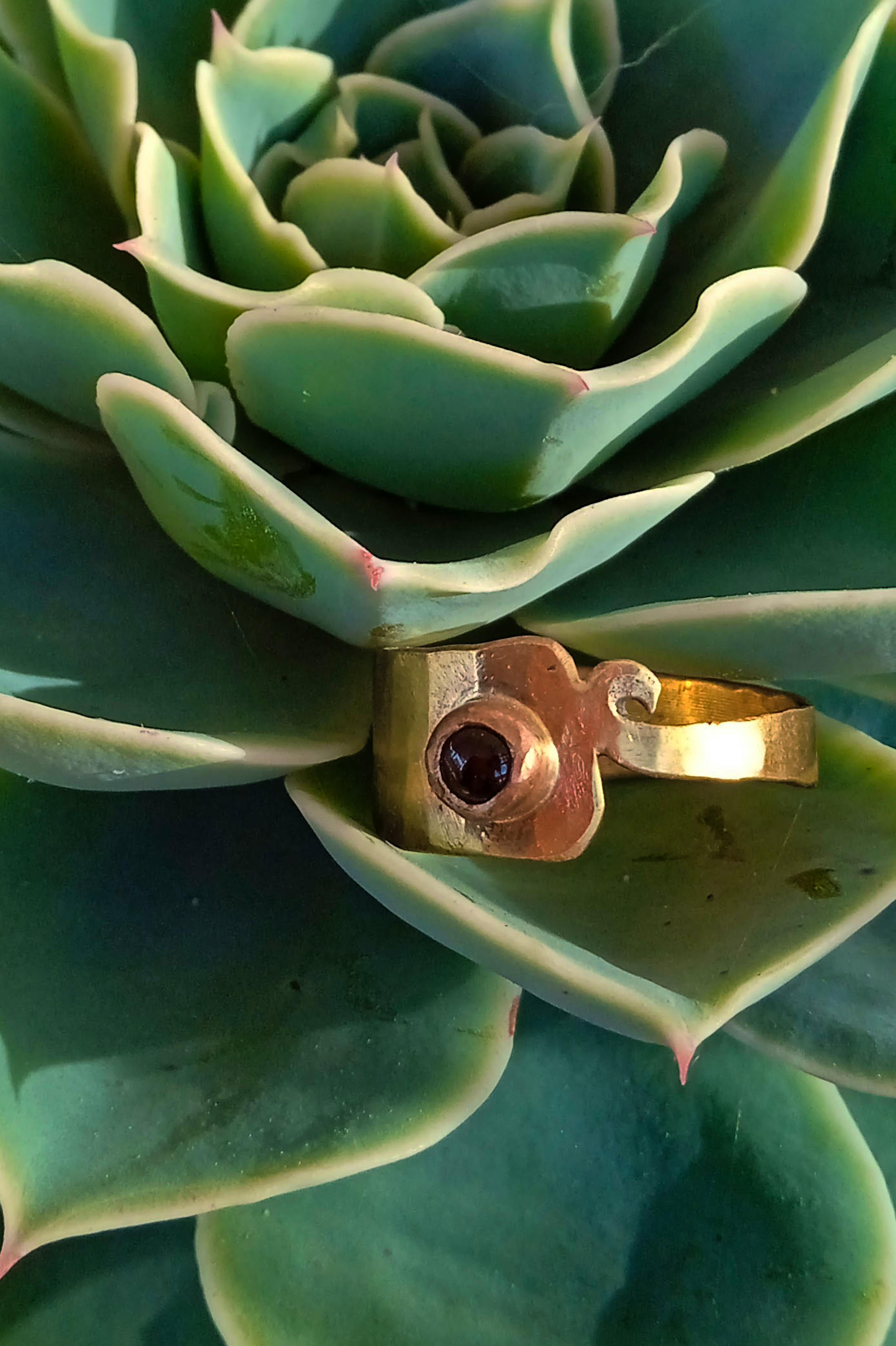 bague laiton posé sur une plante grasse