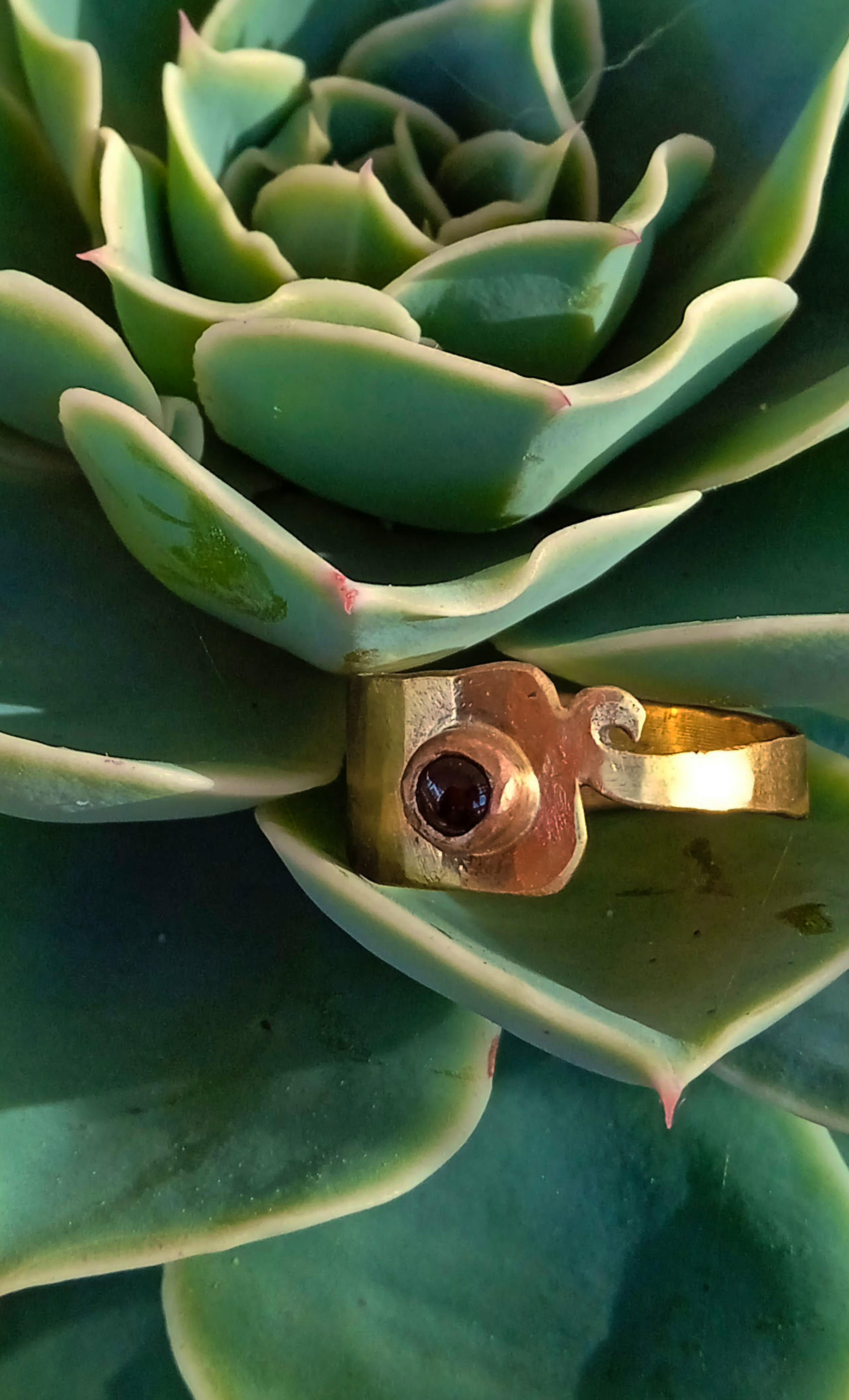 bague laiton posé sur une plante grasse