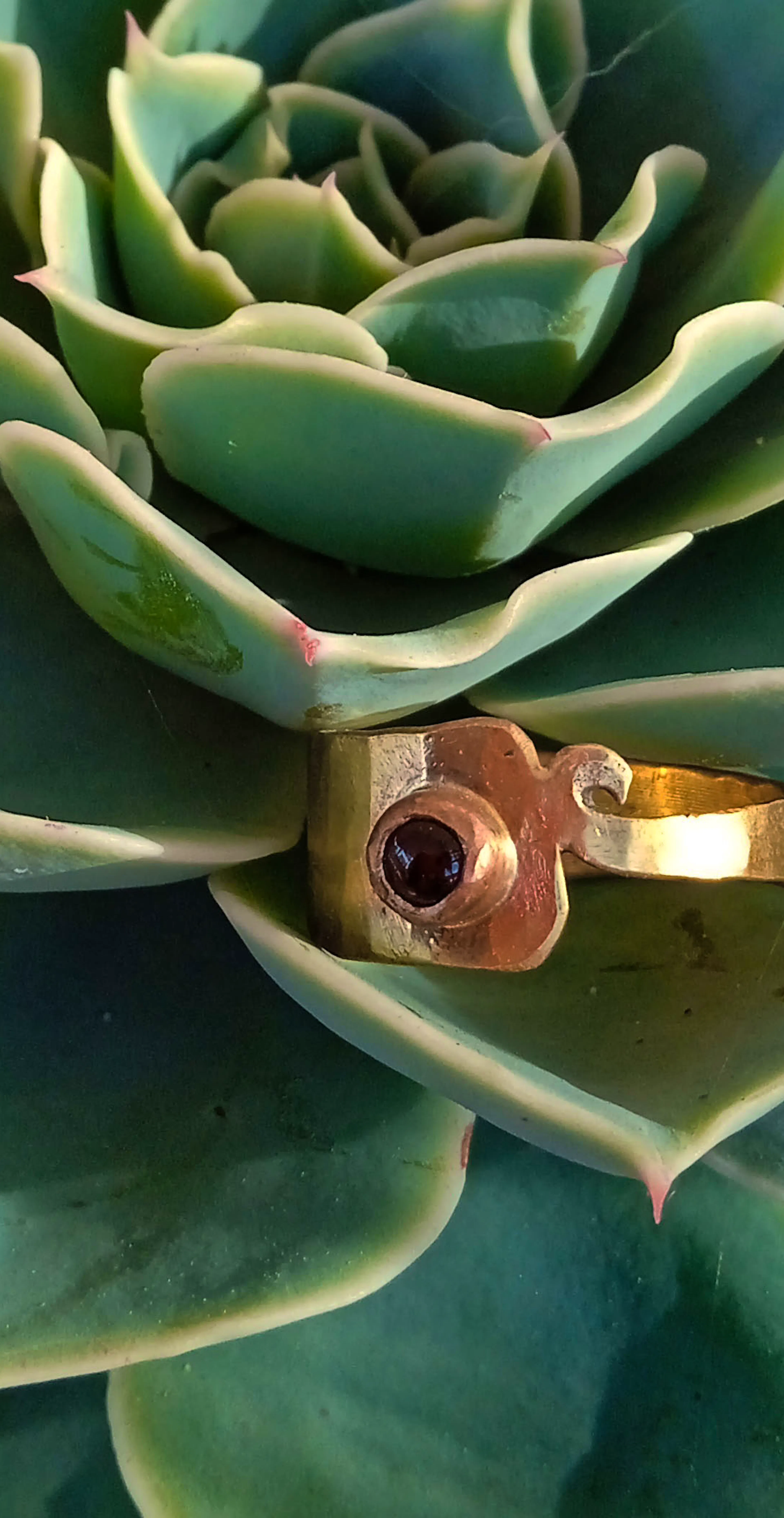 bague laiton posé sur une plante grasse