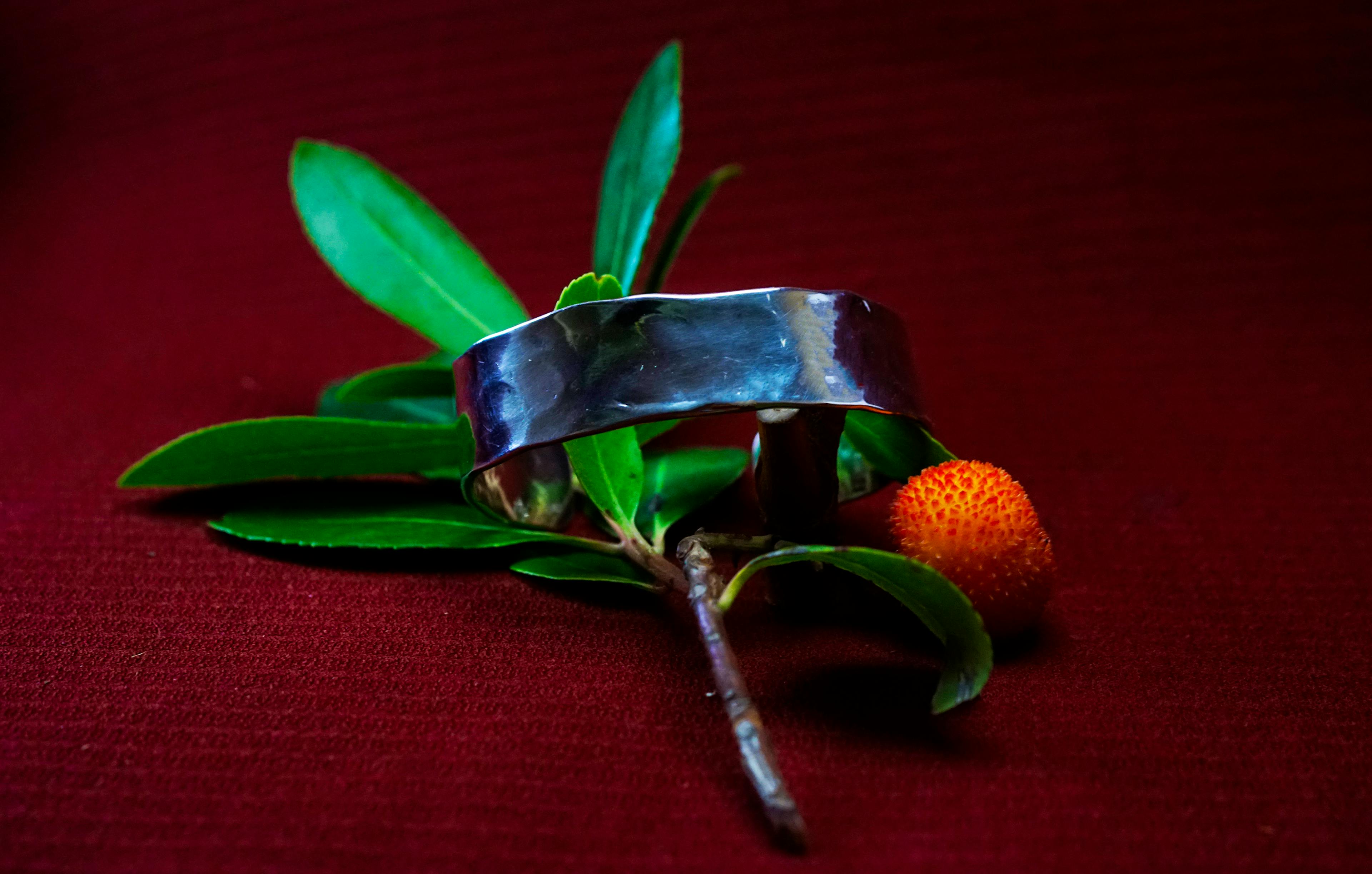 Bracelet cuivre et argent posé sur une branche d'arbousié