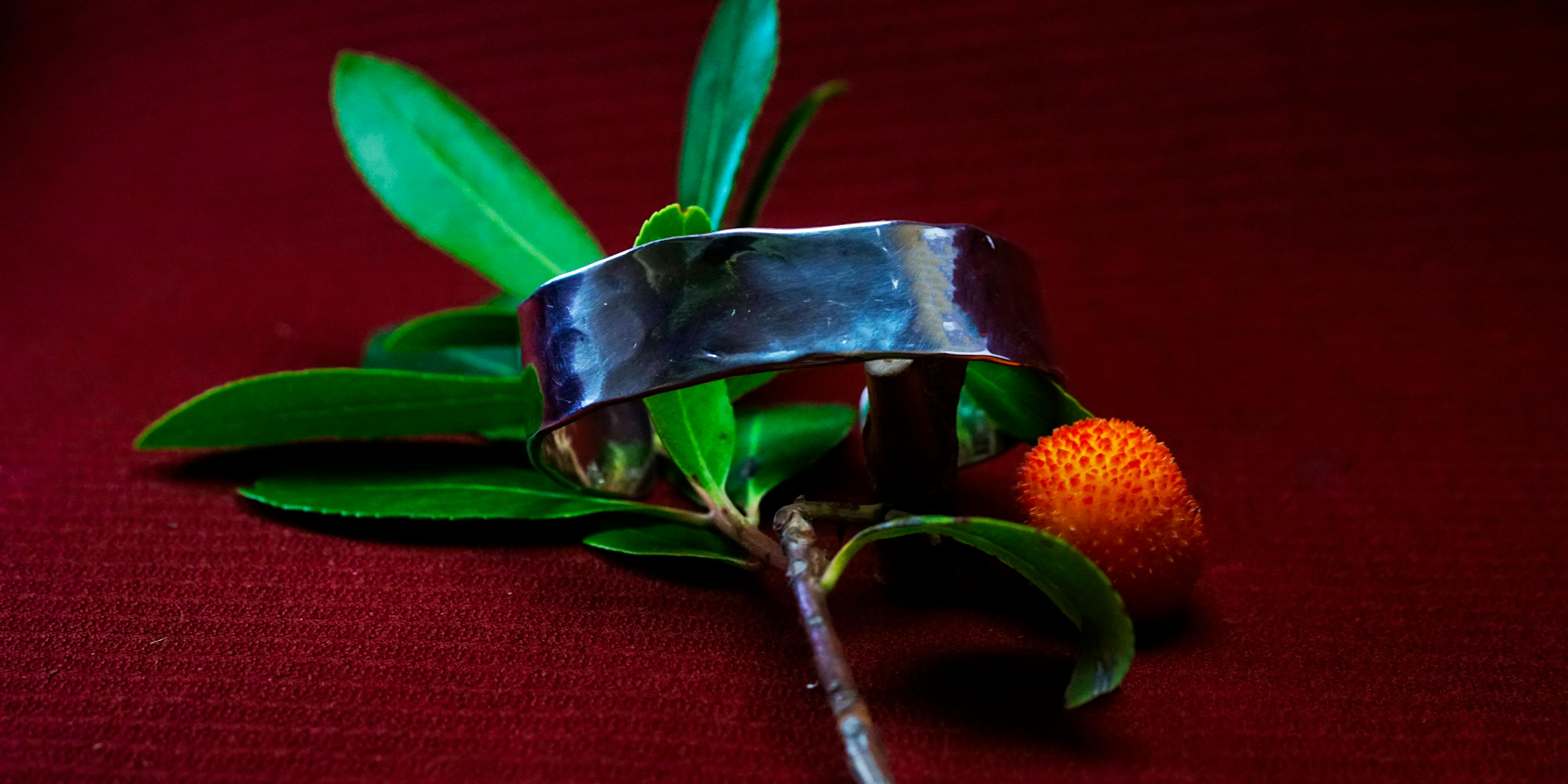 Bracelet cuivre et argent posé sur une branche d'arbousié