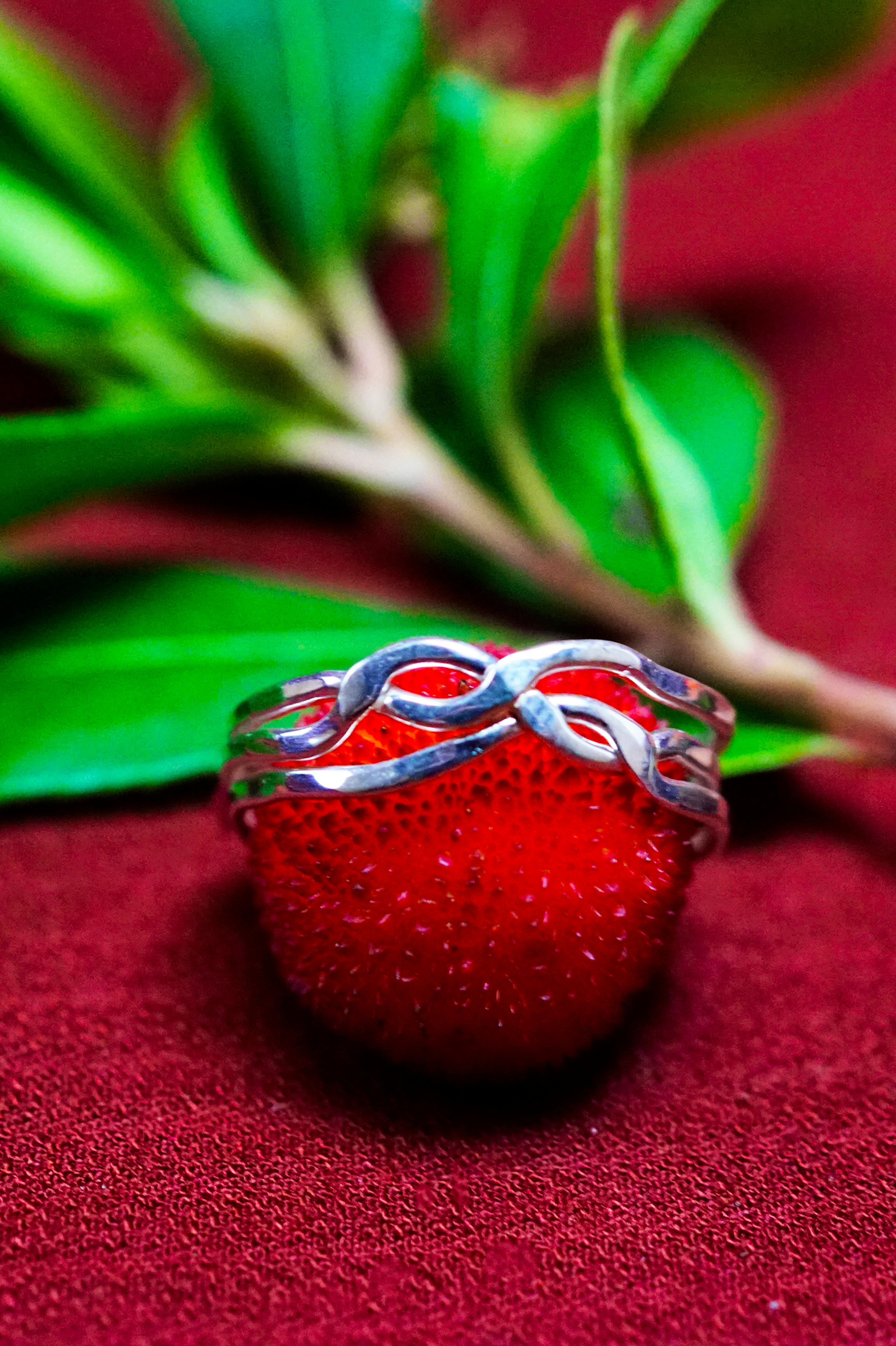 Bague casse tête 3 anneaux posé sur une arbouse