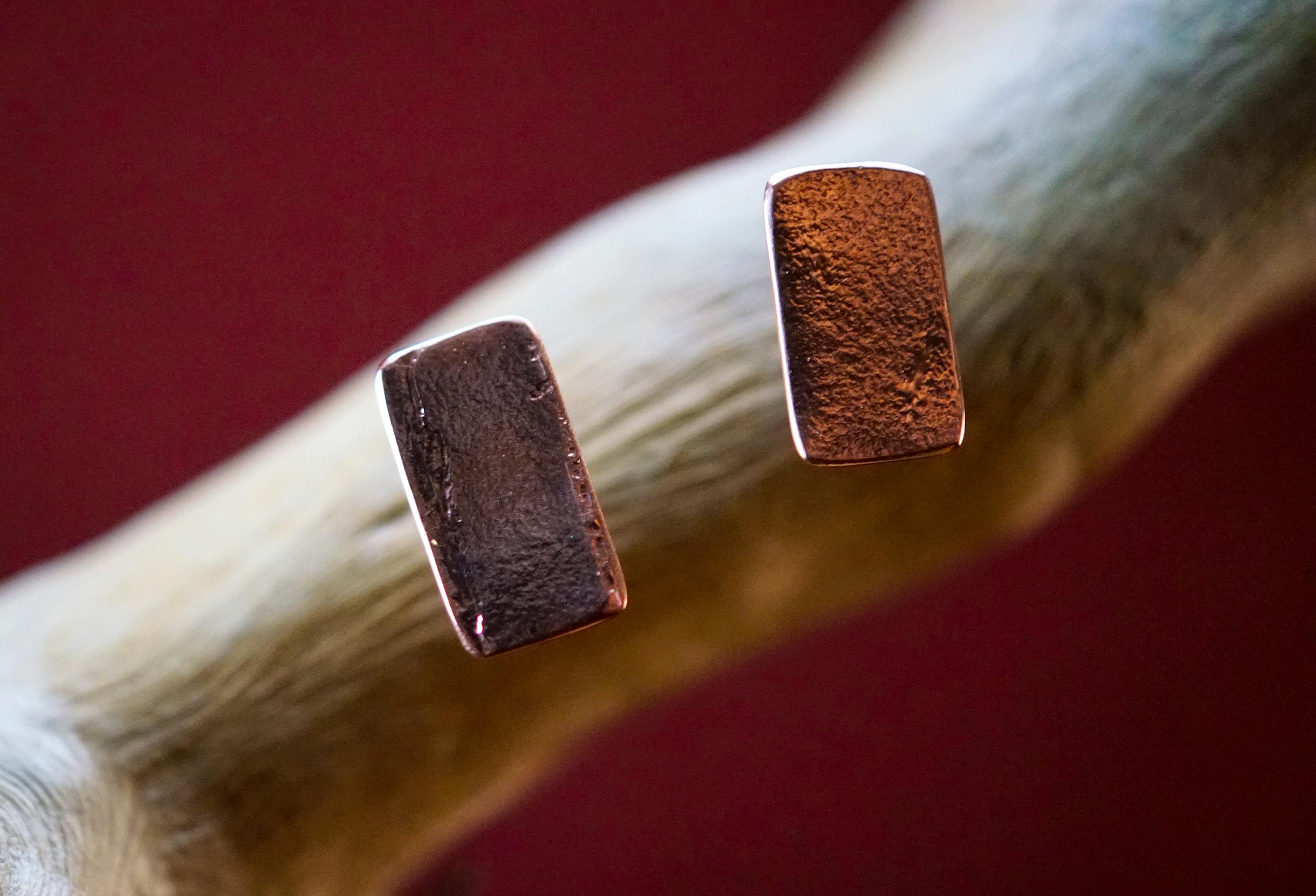 boucles d'oreilles exposées sur une branche d'arbousié