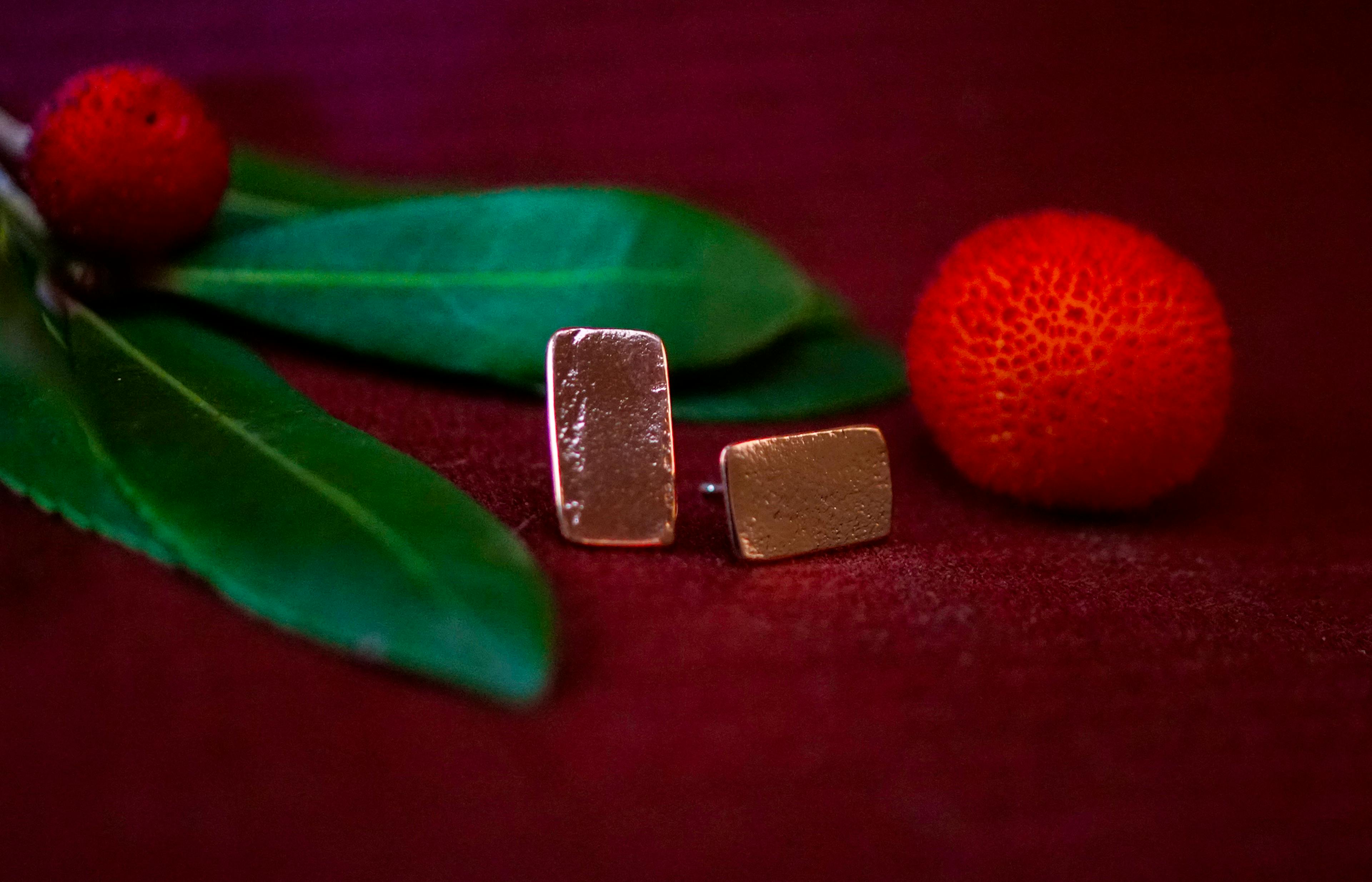 boucles d'oreilles posé sur une branche d'arbousié
