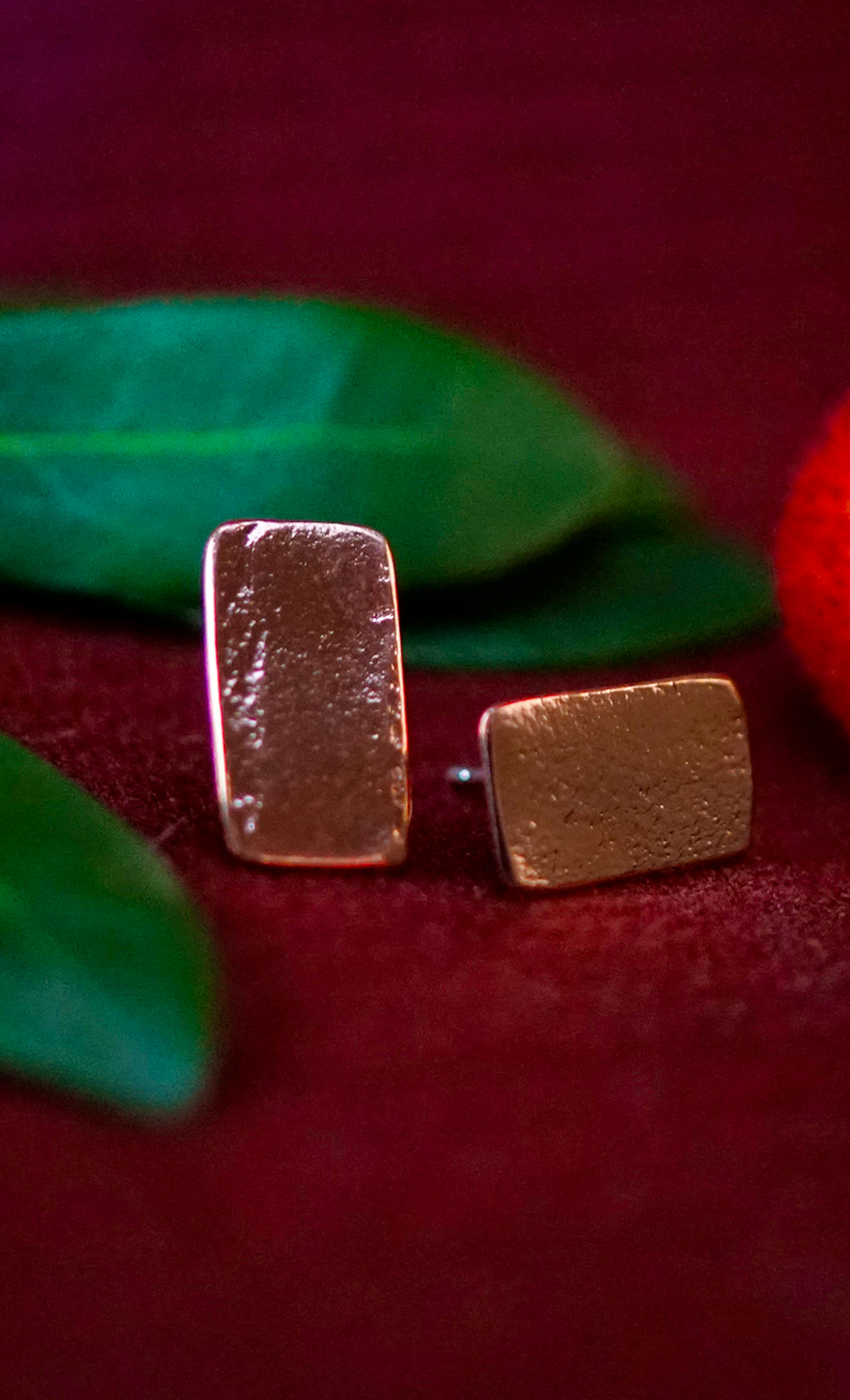 boucles d'oreilles posé sur une branche d'arbousié