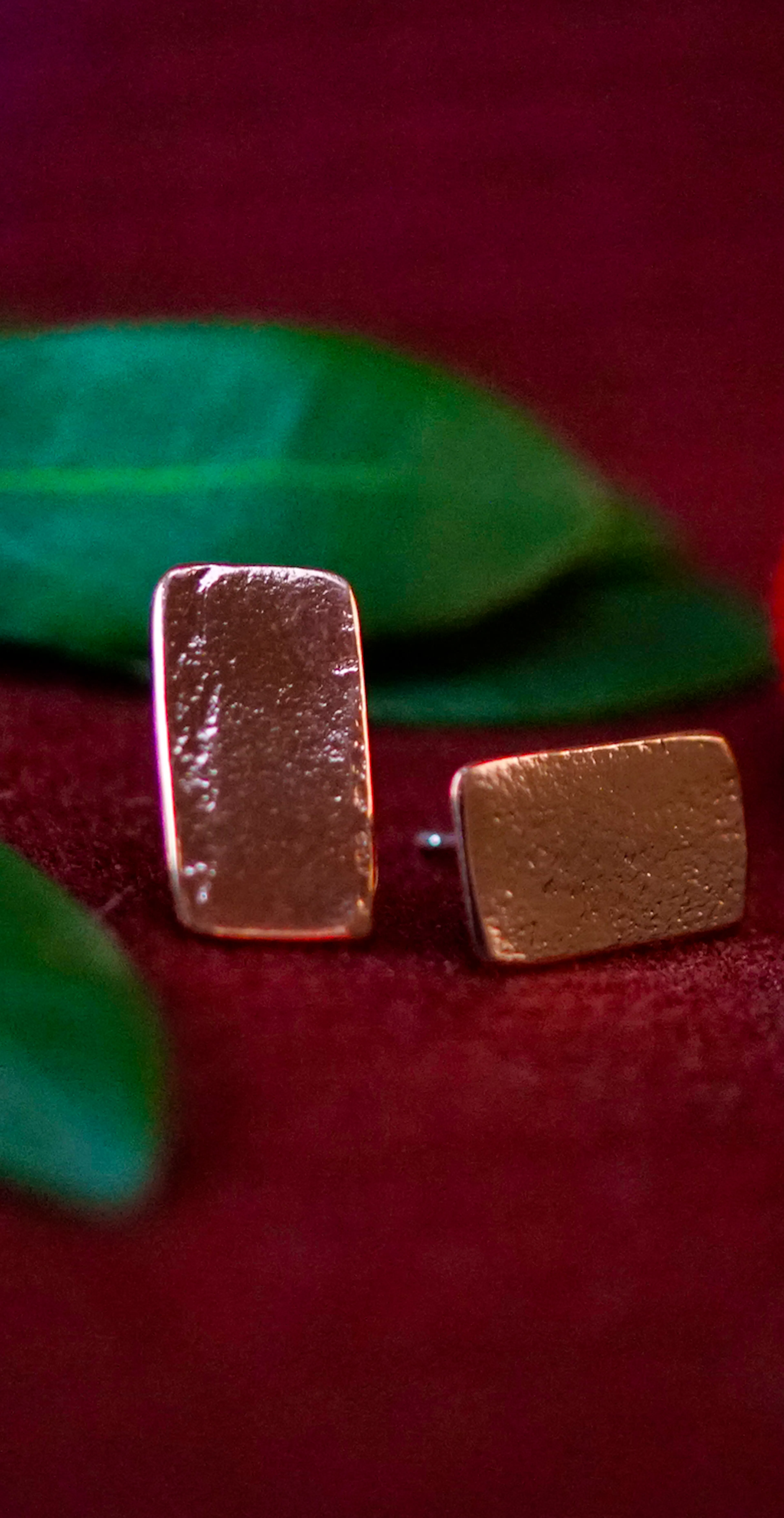 boucles d'oreilles posé sur une branche d'arbousié