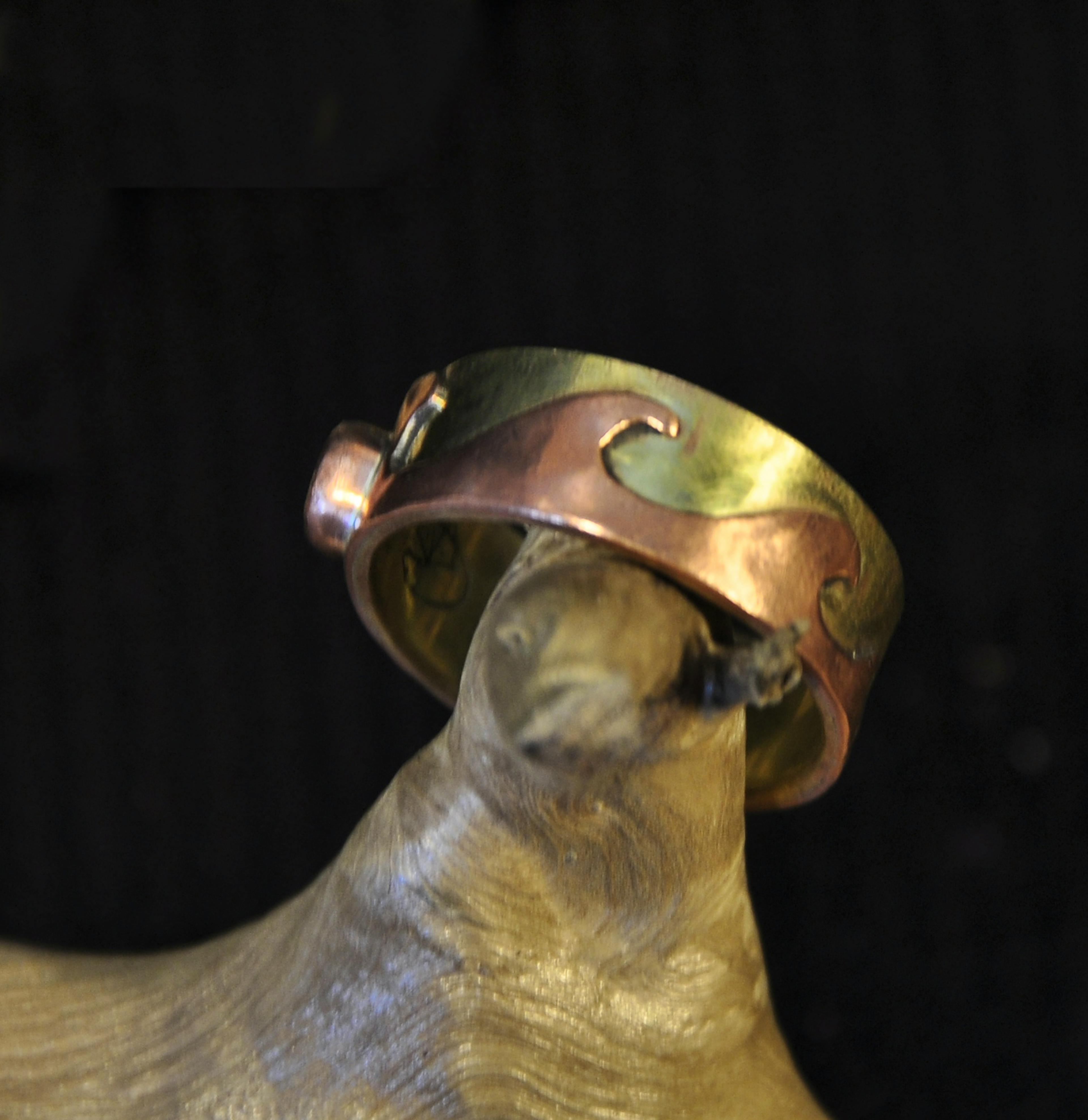 bague cuivre laiton posé sur une racine