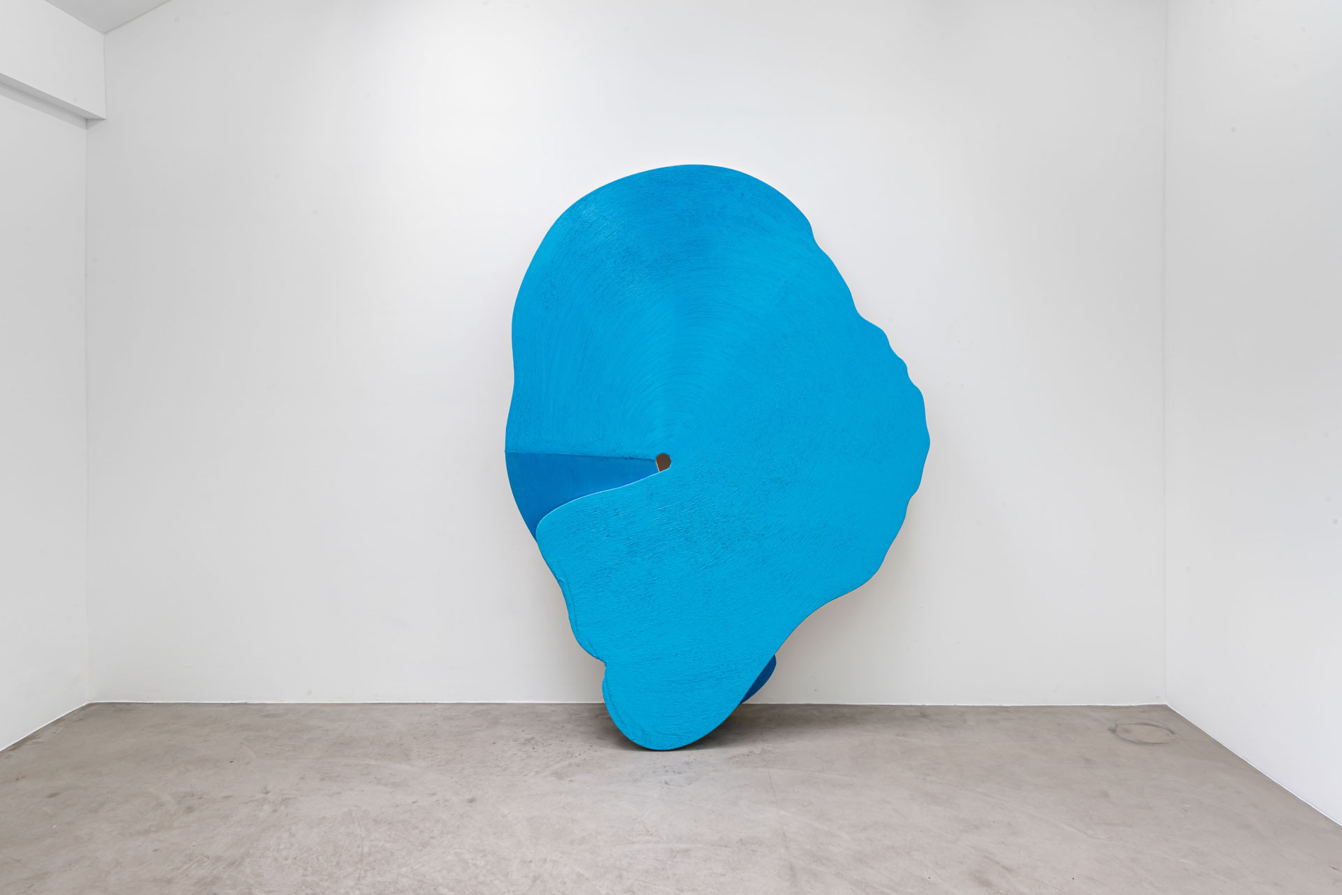 main exhibition picture