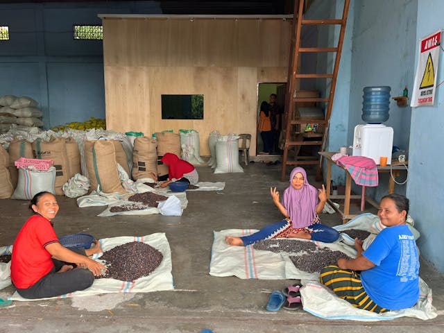 Sorting coffee beans, Sumatra