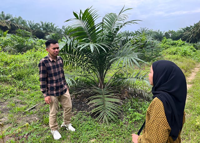Climate Smart Fund trainer Tohirin Muhamad inspecting the pilot plantations