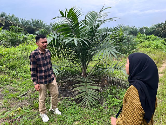 Climate Smart Fund trainer Tohirin Muhamad inspecting the pilot plantations