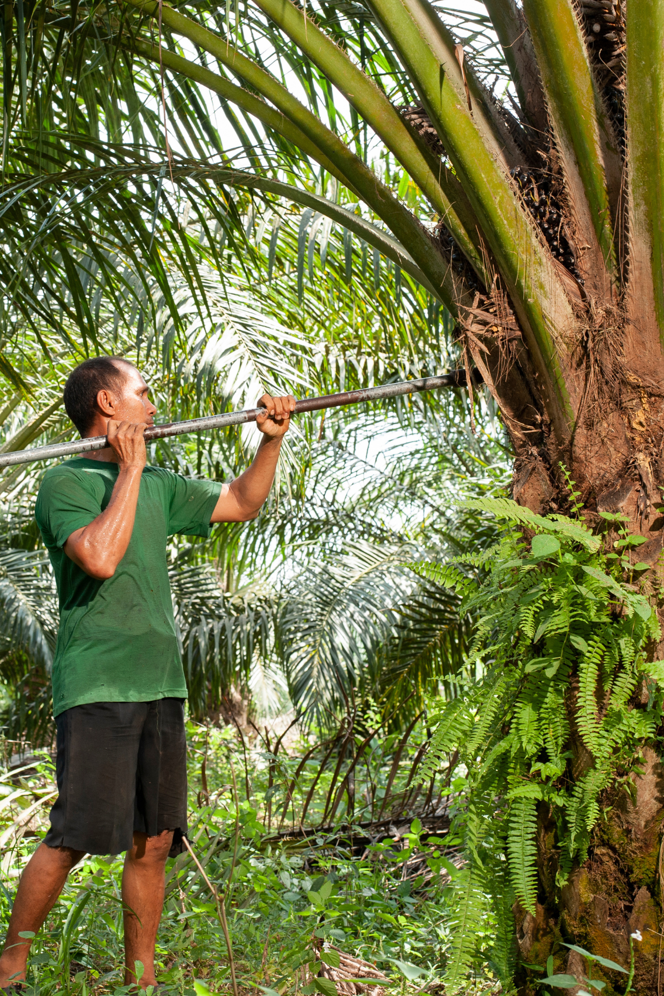 We are hiring: Director, Climate Smart Fund – Abler Nordic