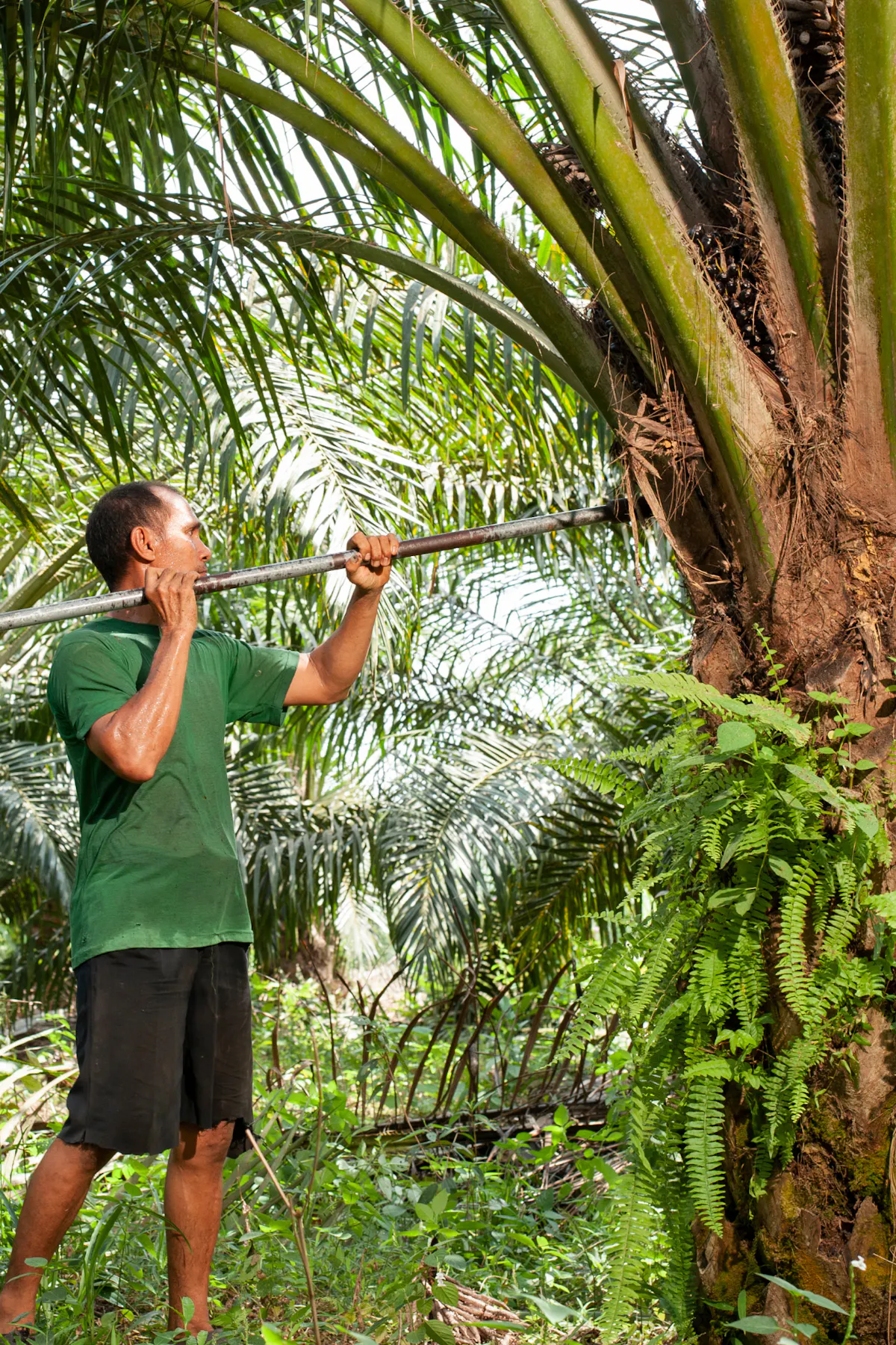 We are hiring: Director, Climate Smart Fund – Abler Nordic