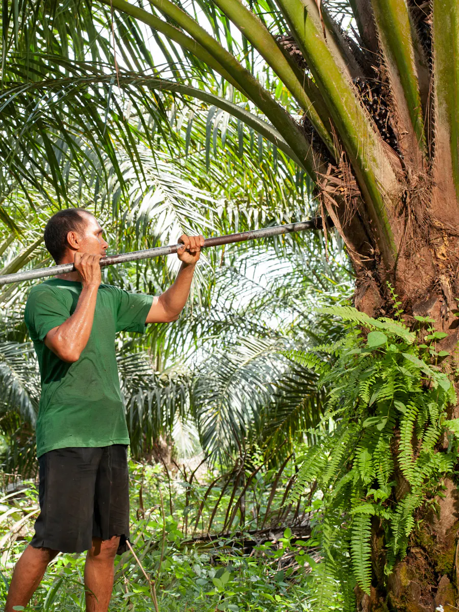 We are hiring: Director, Climate Smart Fund – Abler Nordic