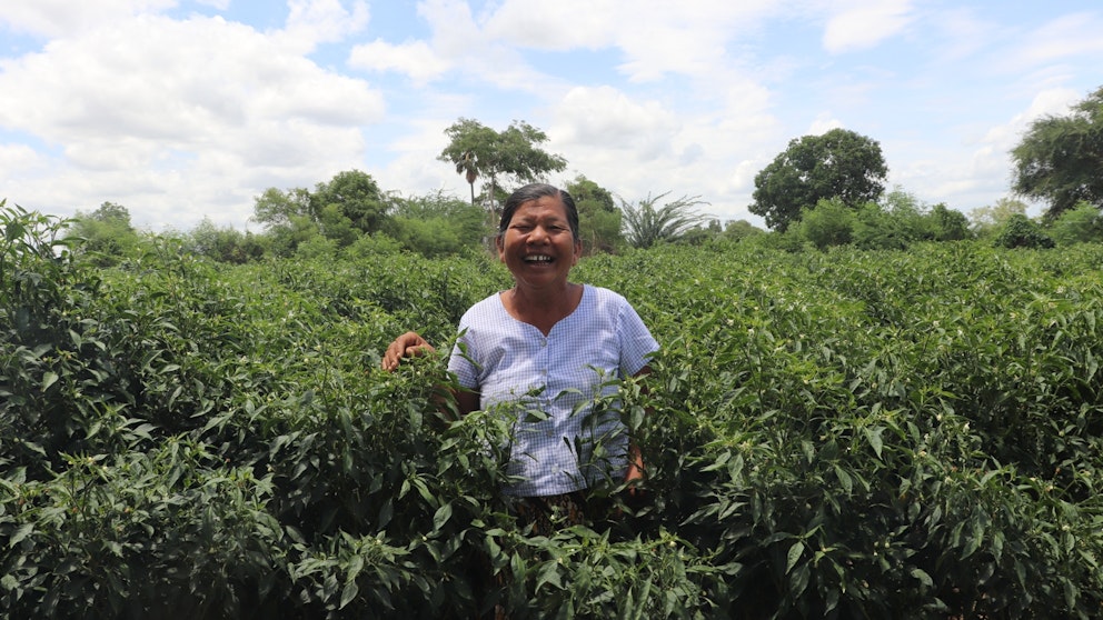 Woman in a field in Myanmar