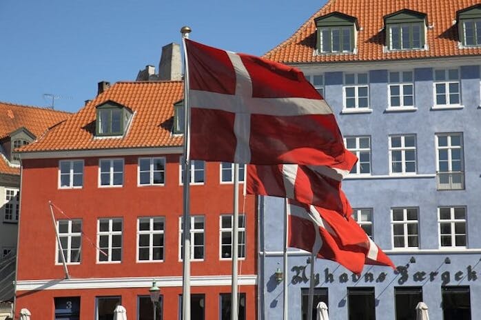 The Danish Regulated Market Saw a Decrease in Revenue in 2020