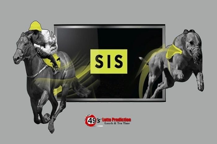 SIS takes over virtual sports supplier 49’s from GVC and William Hill