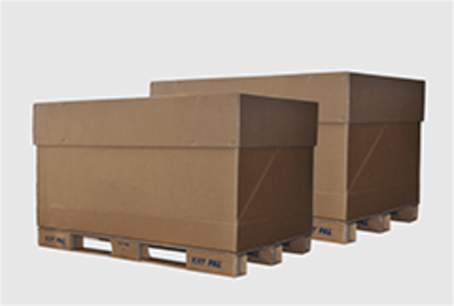 Deux contenants Box EXIGO DEEE de Recygo
