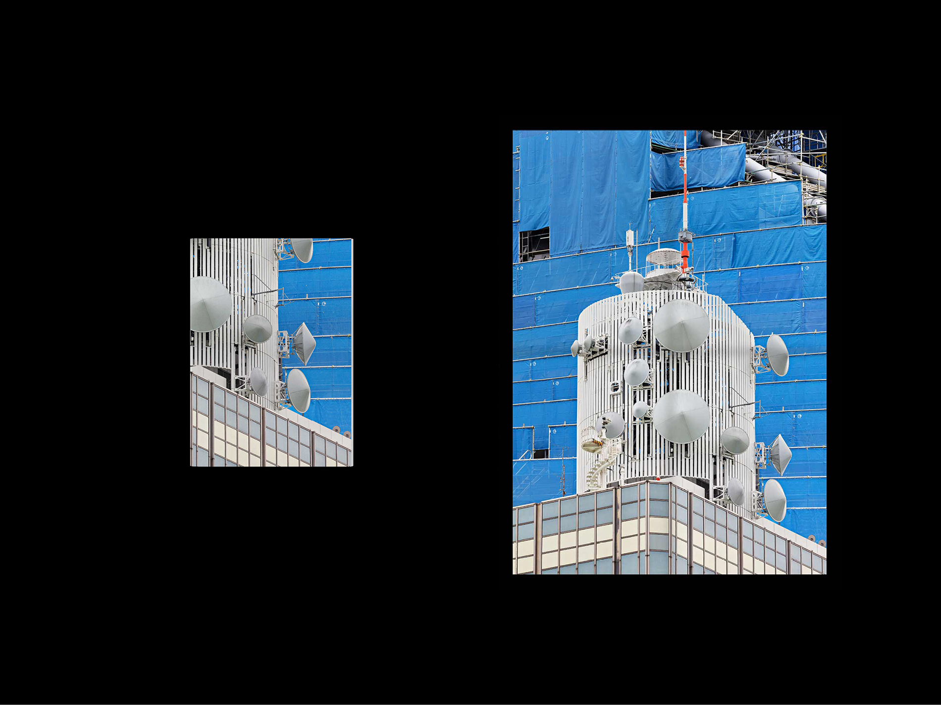 Forever Everett Specimen picture n°8 by Nolan Paparelli