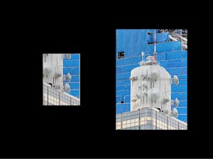 Forever Everett Specimen picture n°8 by Nolan Paparelli