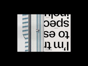 Forever Everett Specimen picture n°4 by Nolan Paparelli