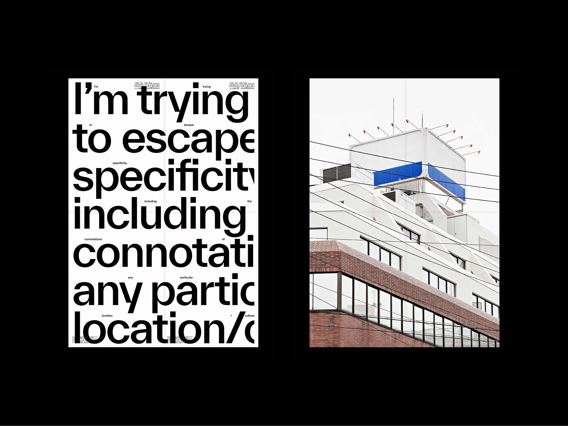 Forever Everett Specimen picture n°10 by Nolan Paparelli