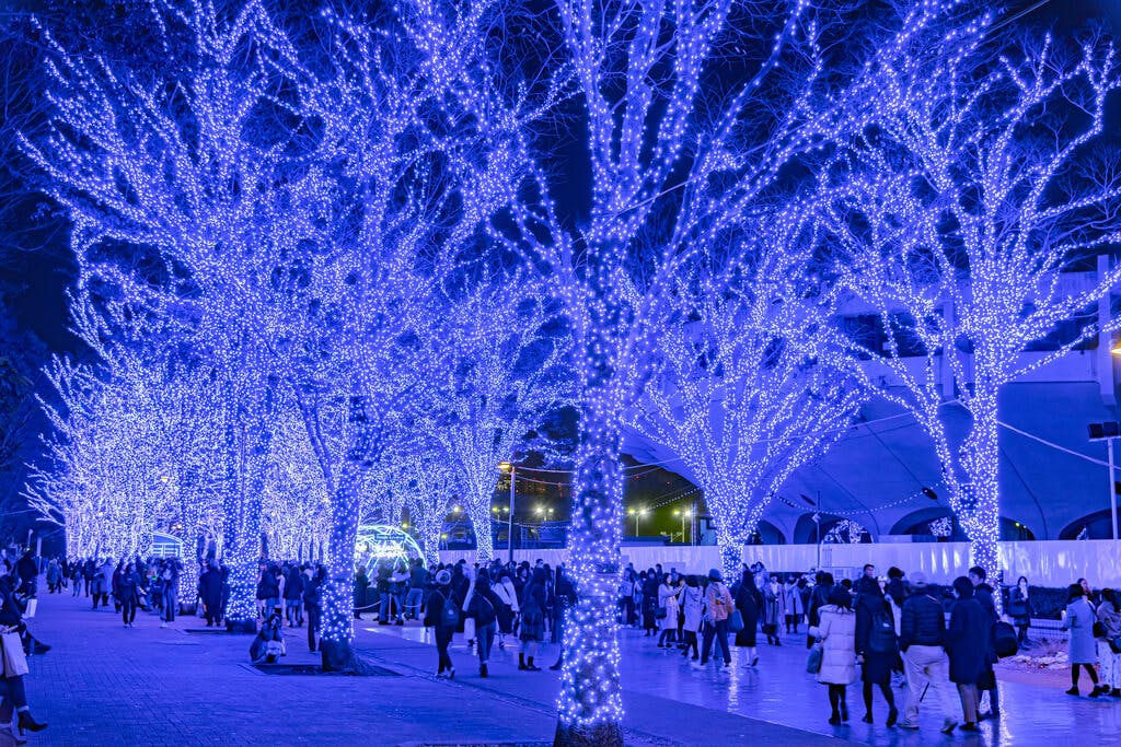 A walking path in Shibuya illuminated with blue lights on trees with many people looking at the lights