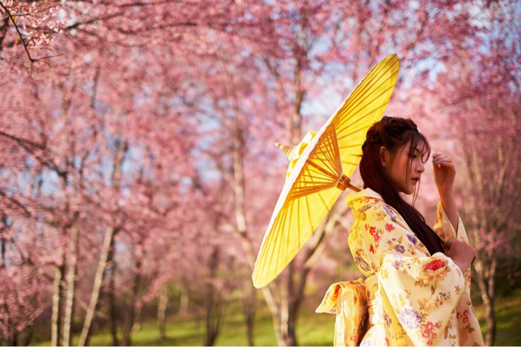 A young Japanese woman stands among cherry blossoms in a yellow kimono with a yellow parasol