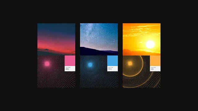 Principles and colors in dynamic brand identity