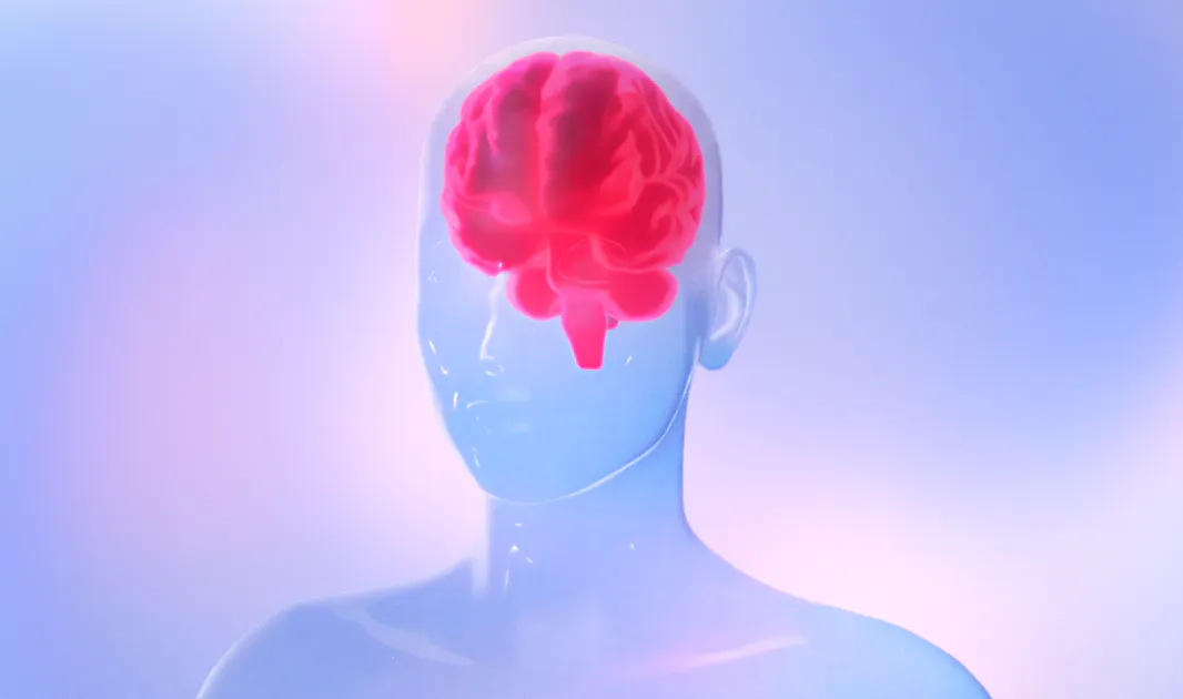 Creating an interactive experience for Vibrant Wellness Summit 2025