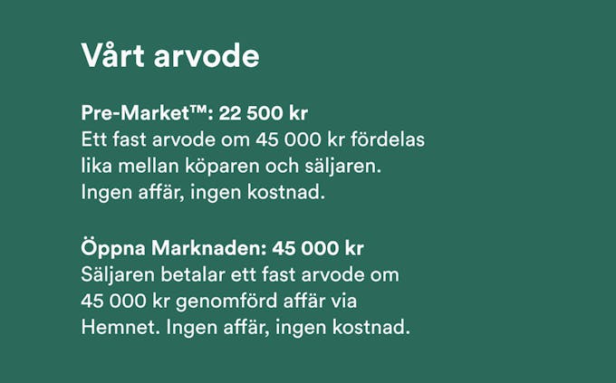 Bloggbild