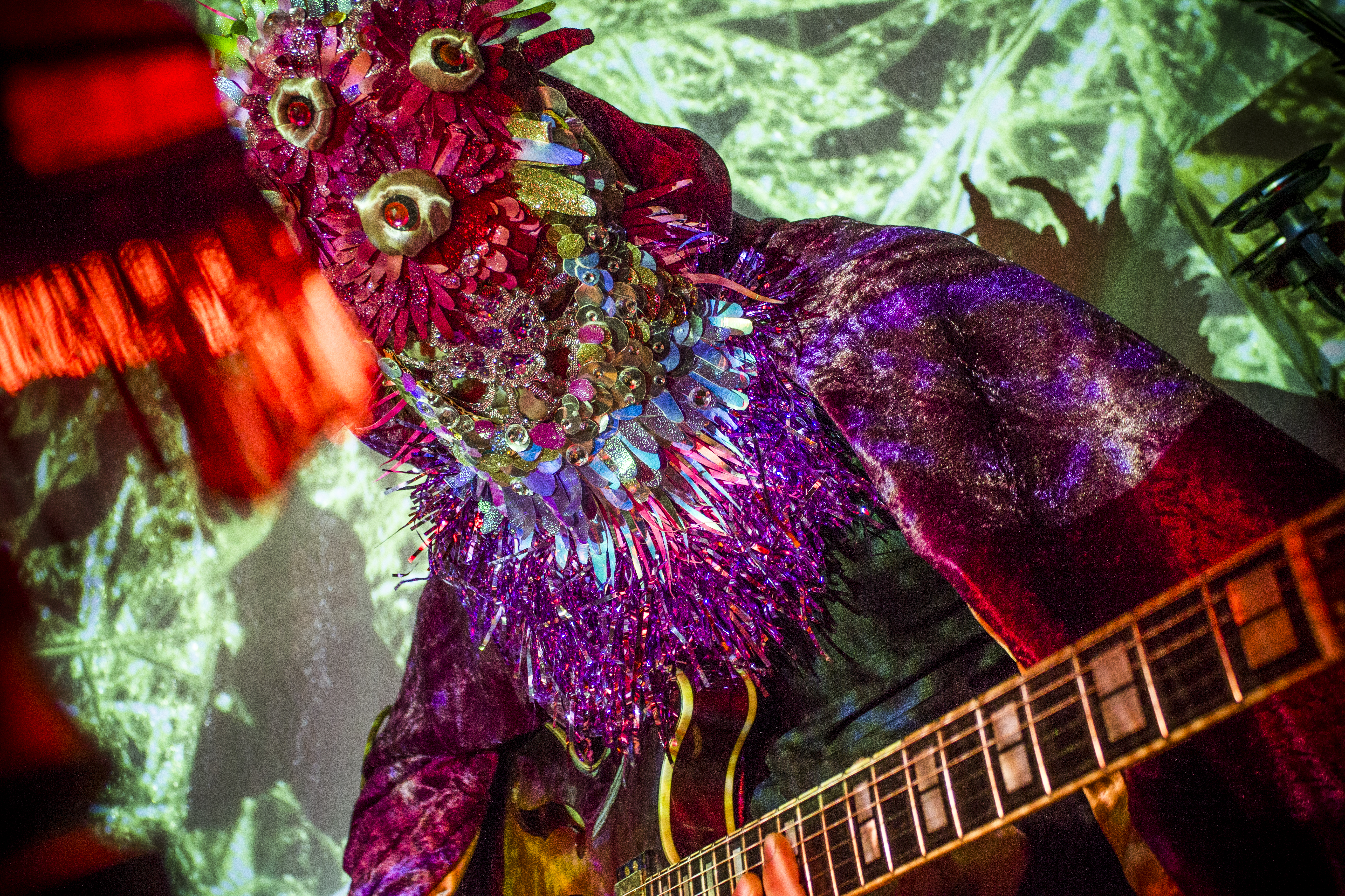 Rävulen och Musifers Kattanistiska Sällskap