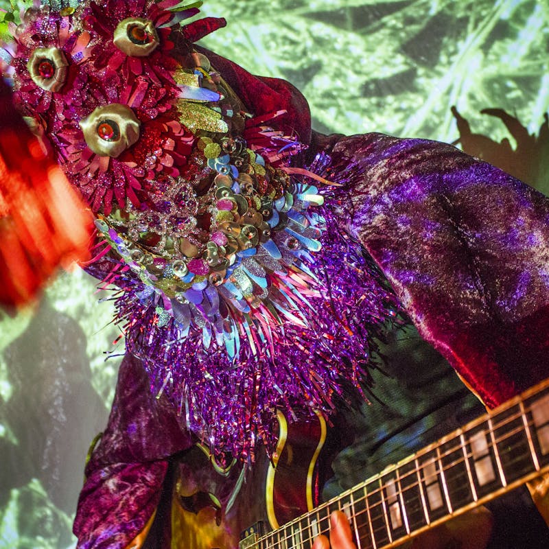 Rävulen och Musifers Kattanistiska Sällskap