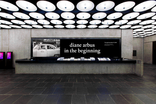 Diane Arbus: In The Beginning 3