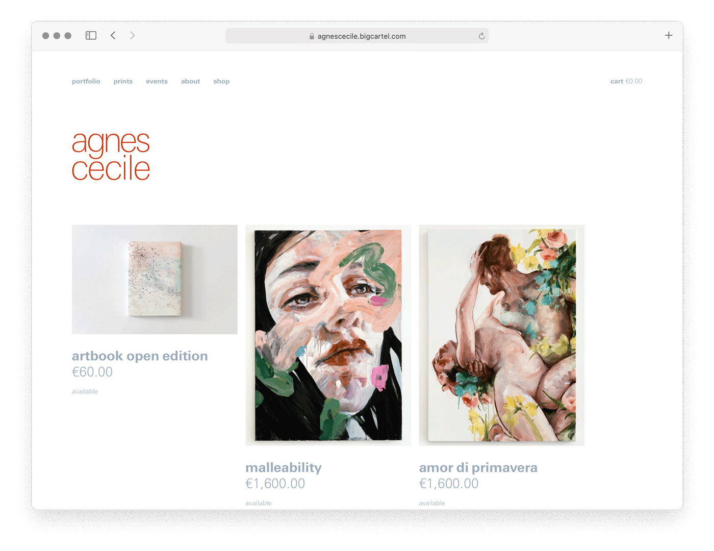 Ecommerce web development for Agnes Cecile